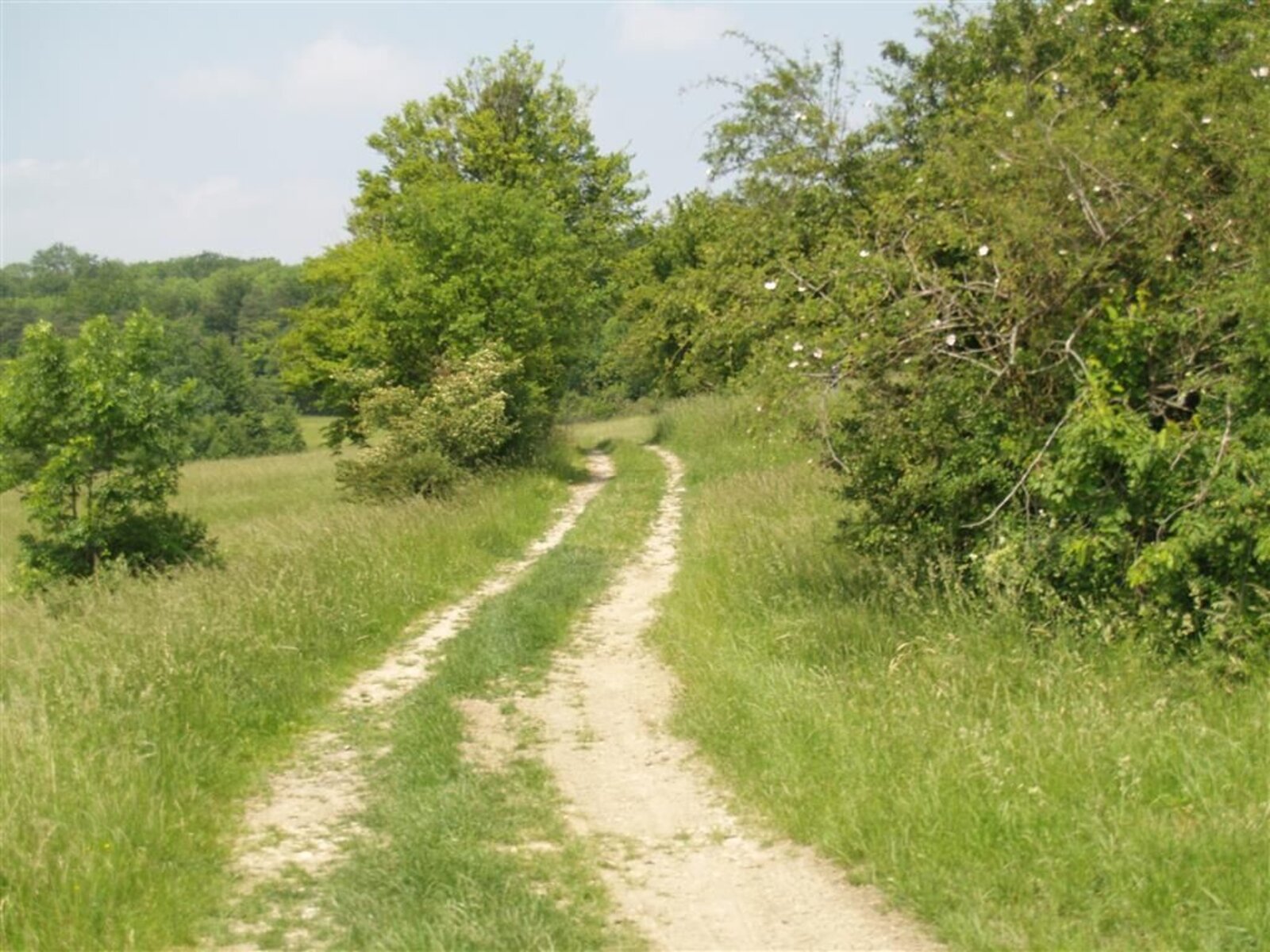 Landschaft