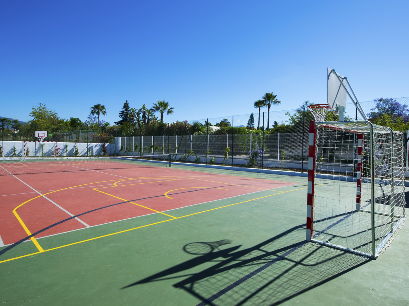 Sport