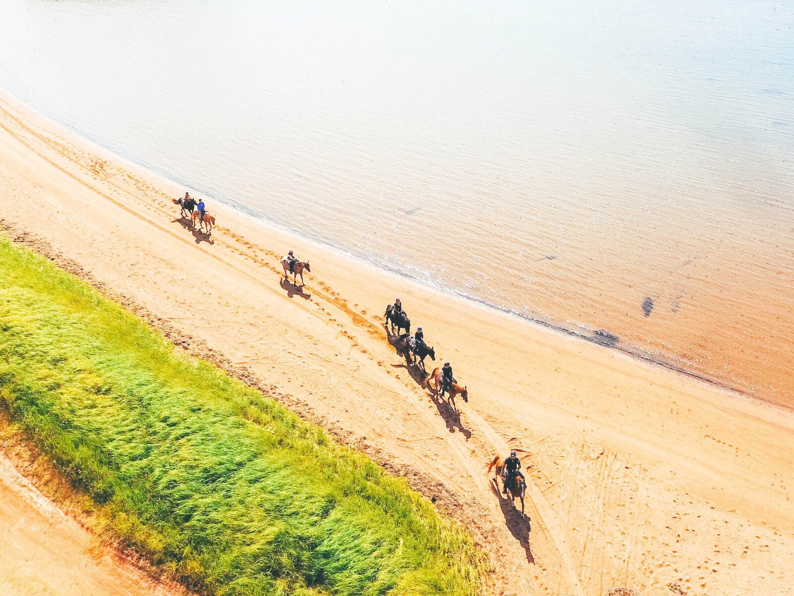 Strand