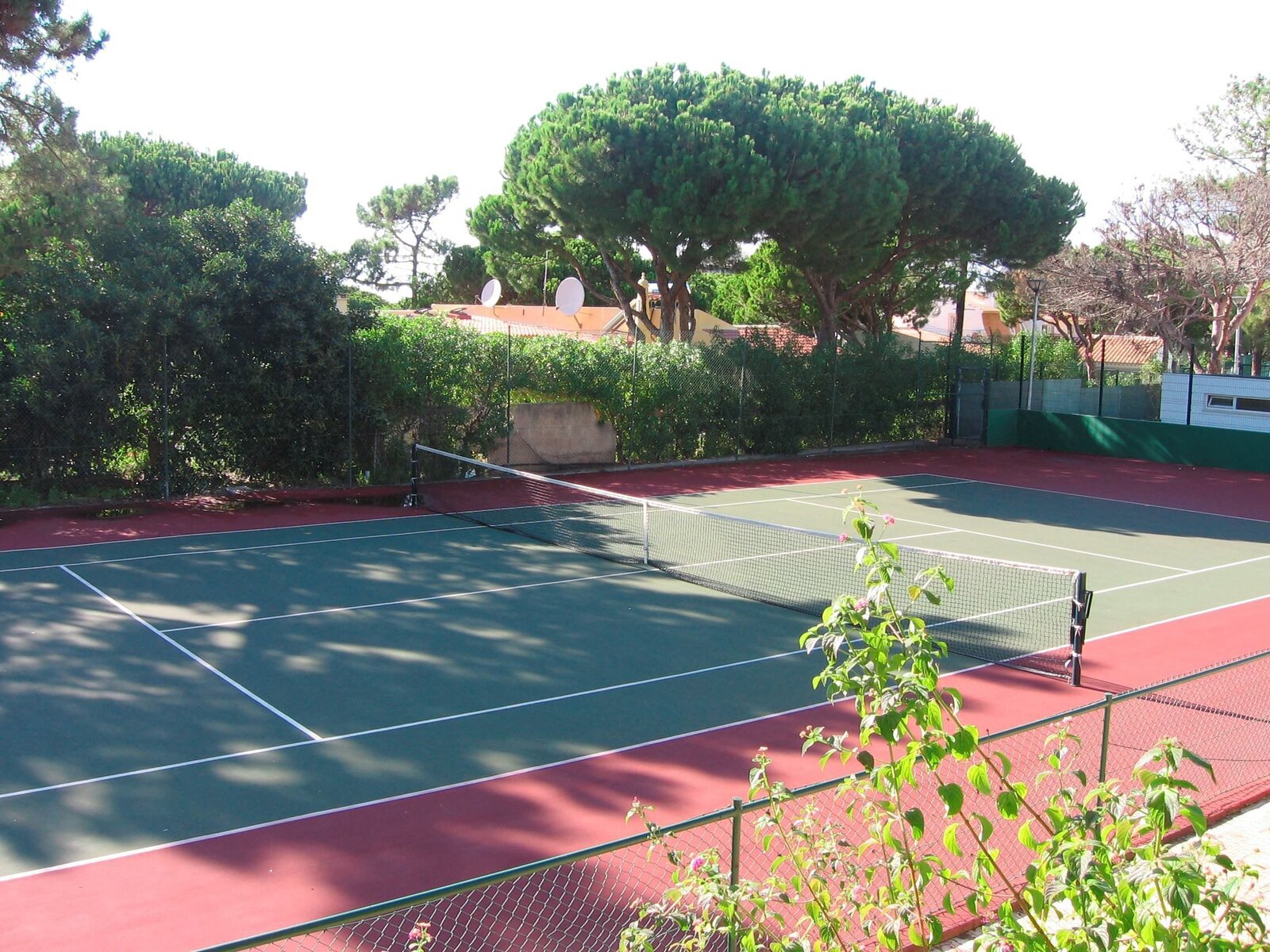 Sport