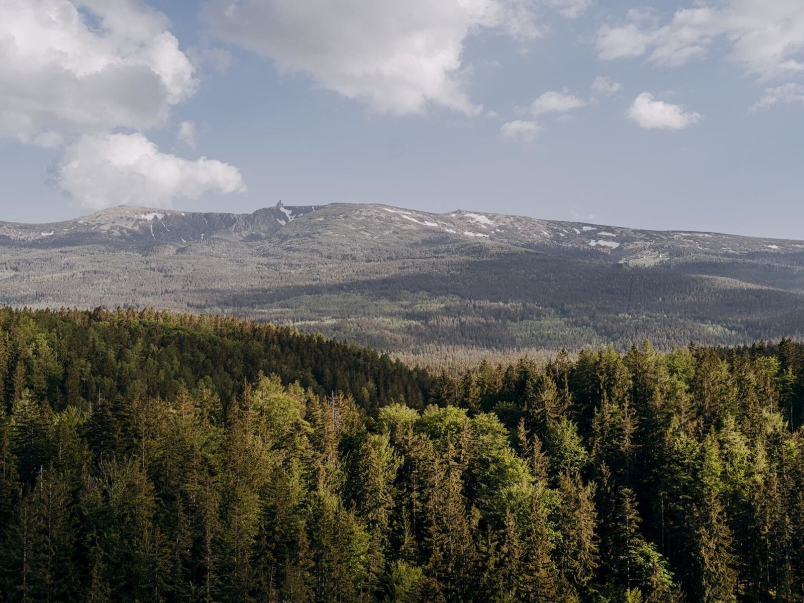 Landschaft