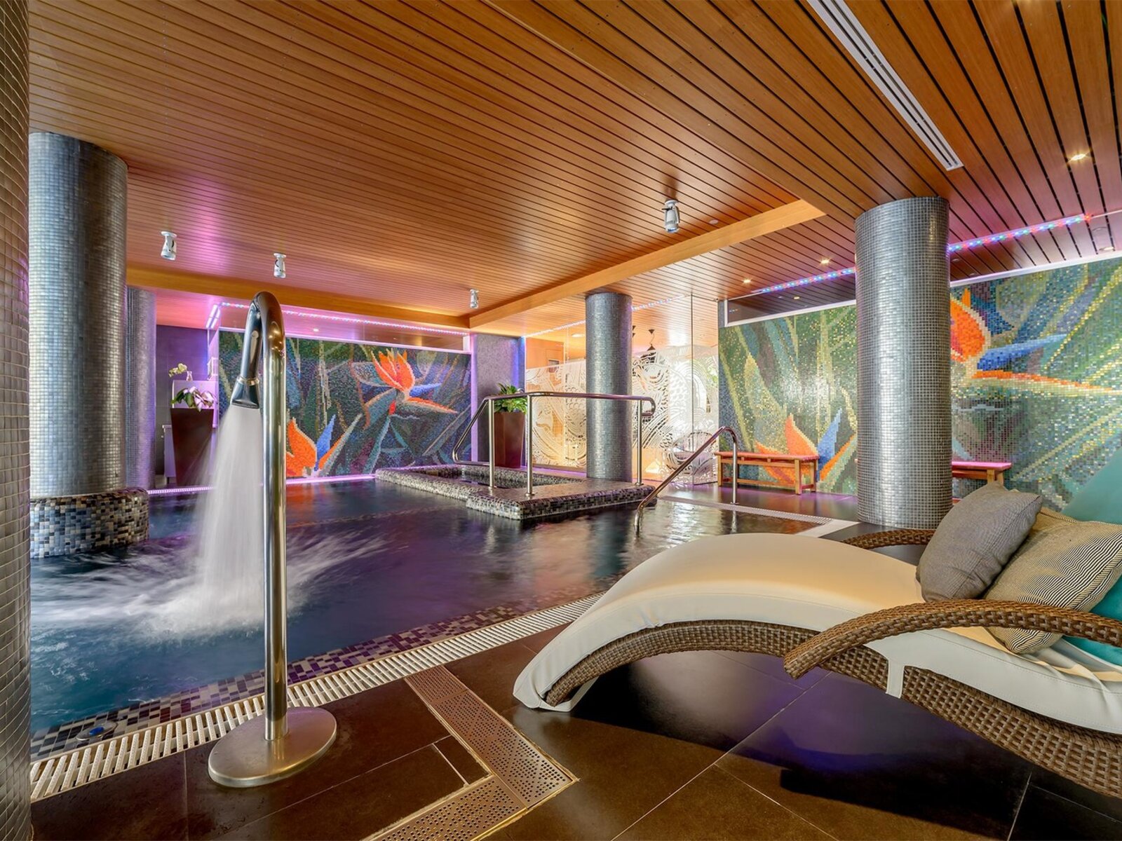 Wellness