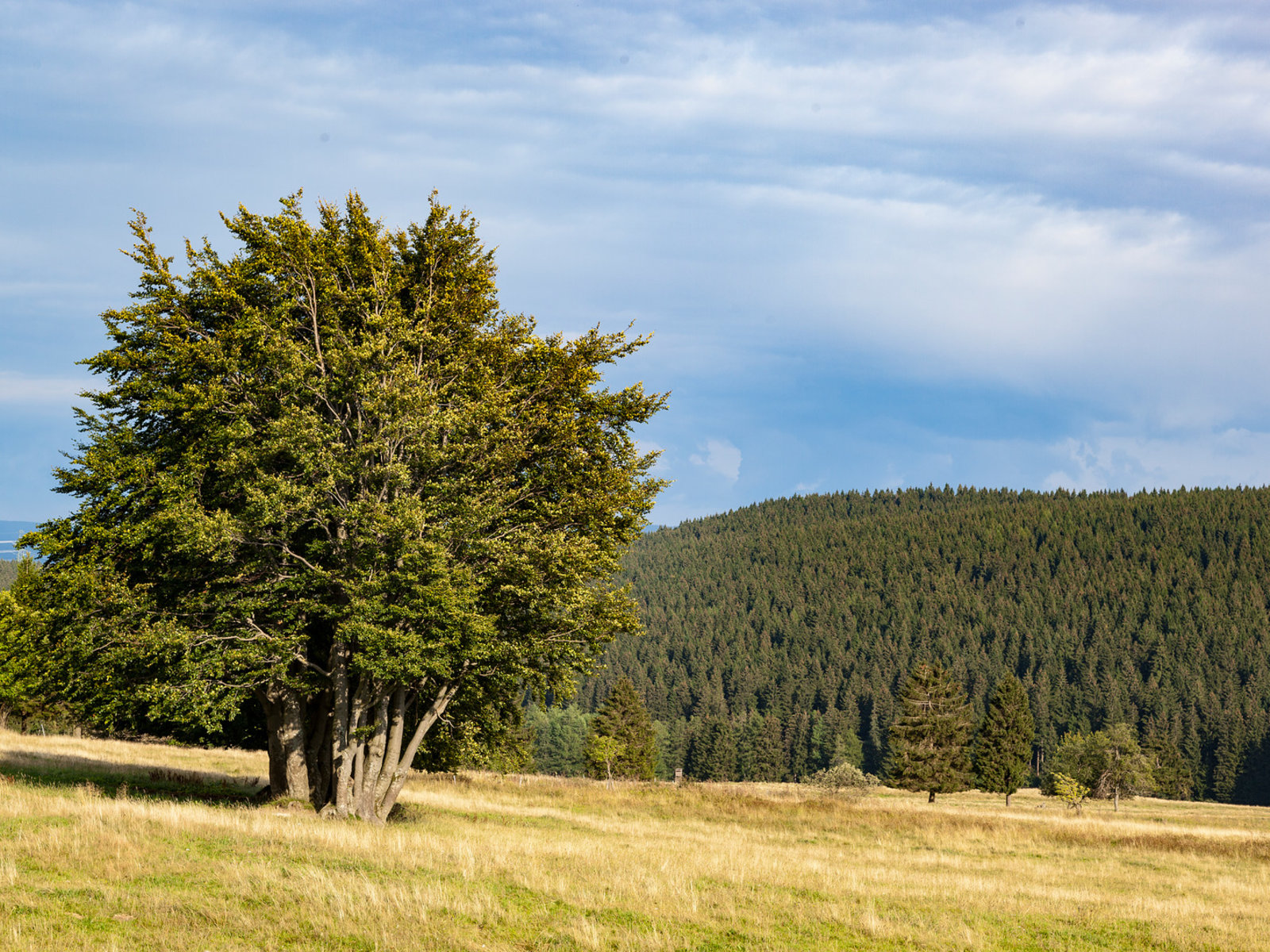 Landschaft