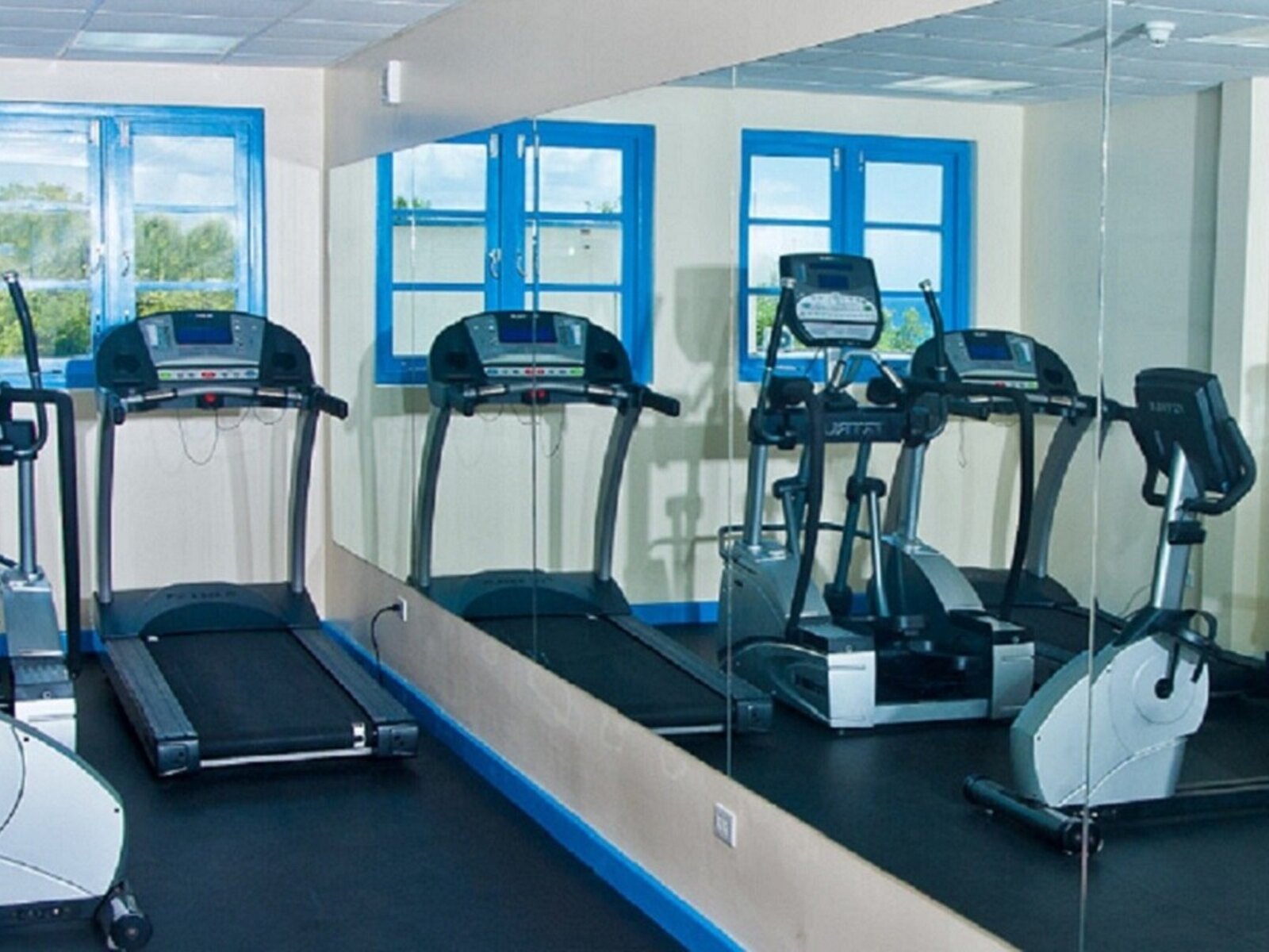 Sport