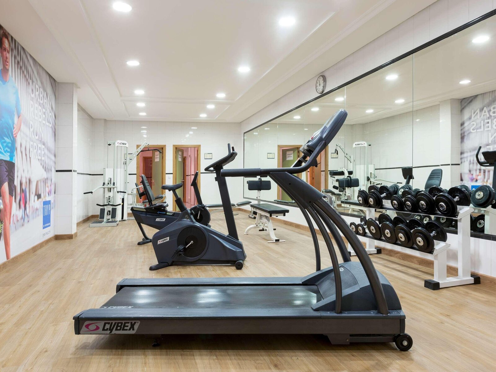 Sport
