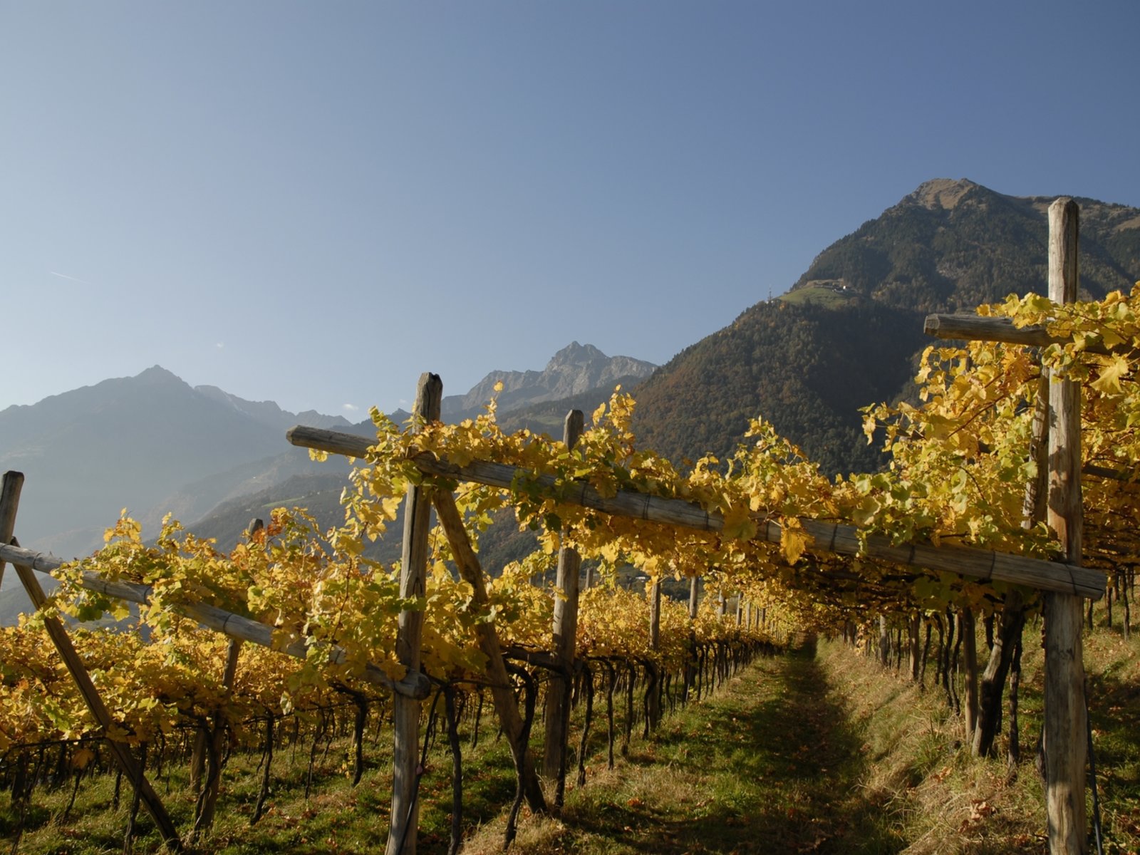 Landschaft