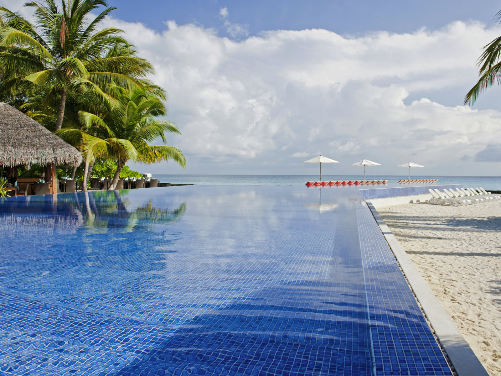 Infinity Pool