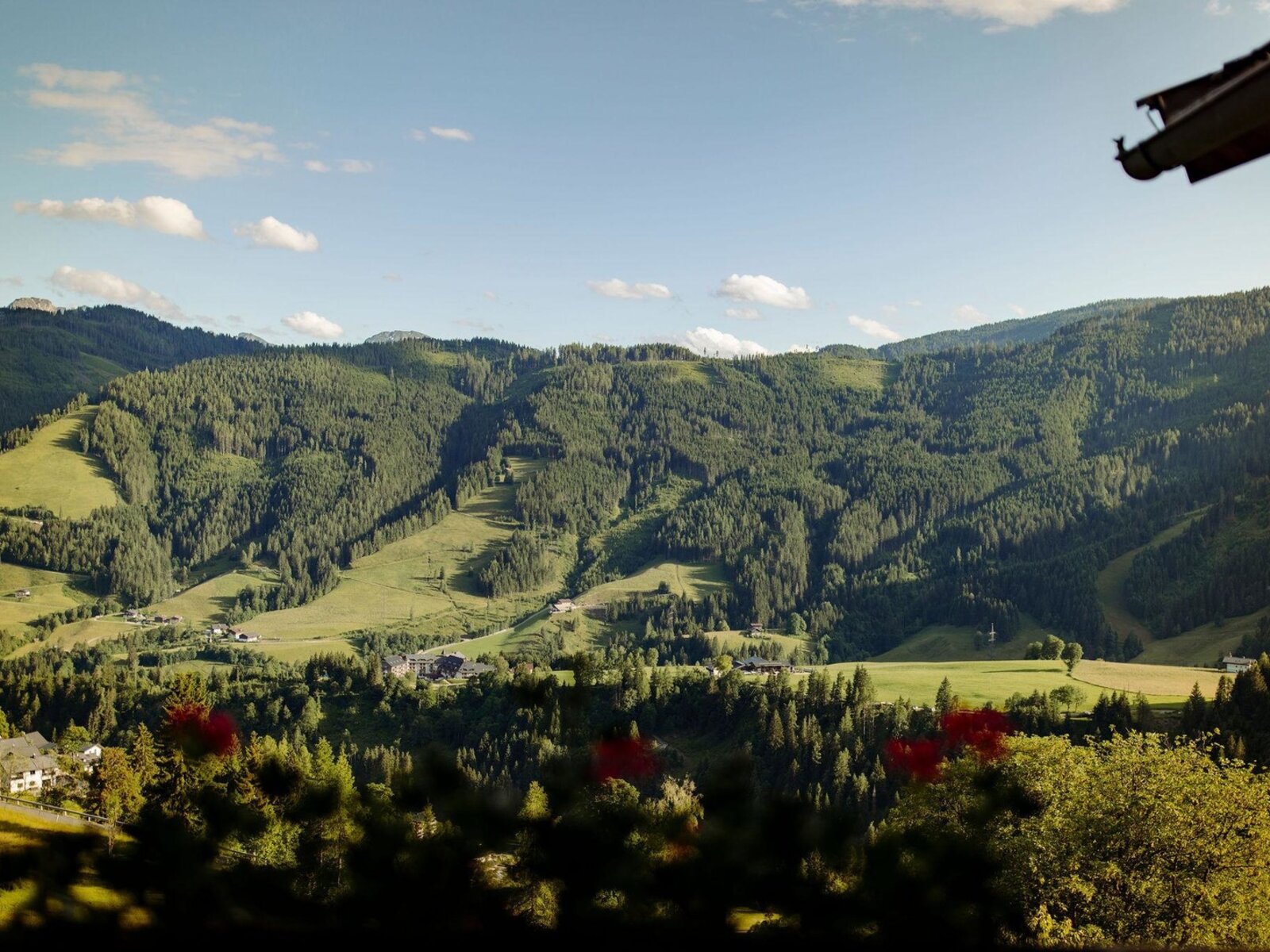 Landschaft