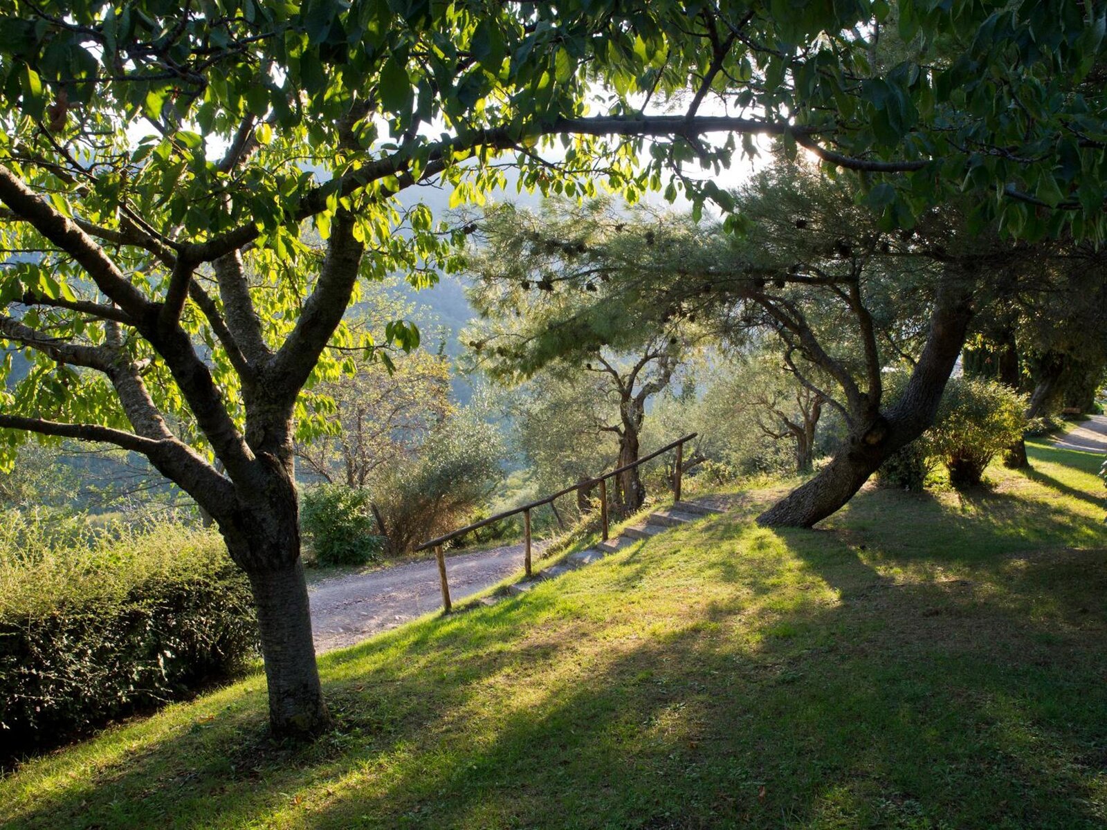 Landschaft