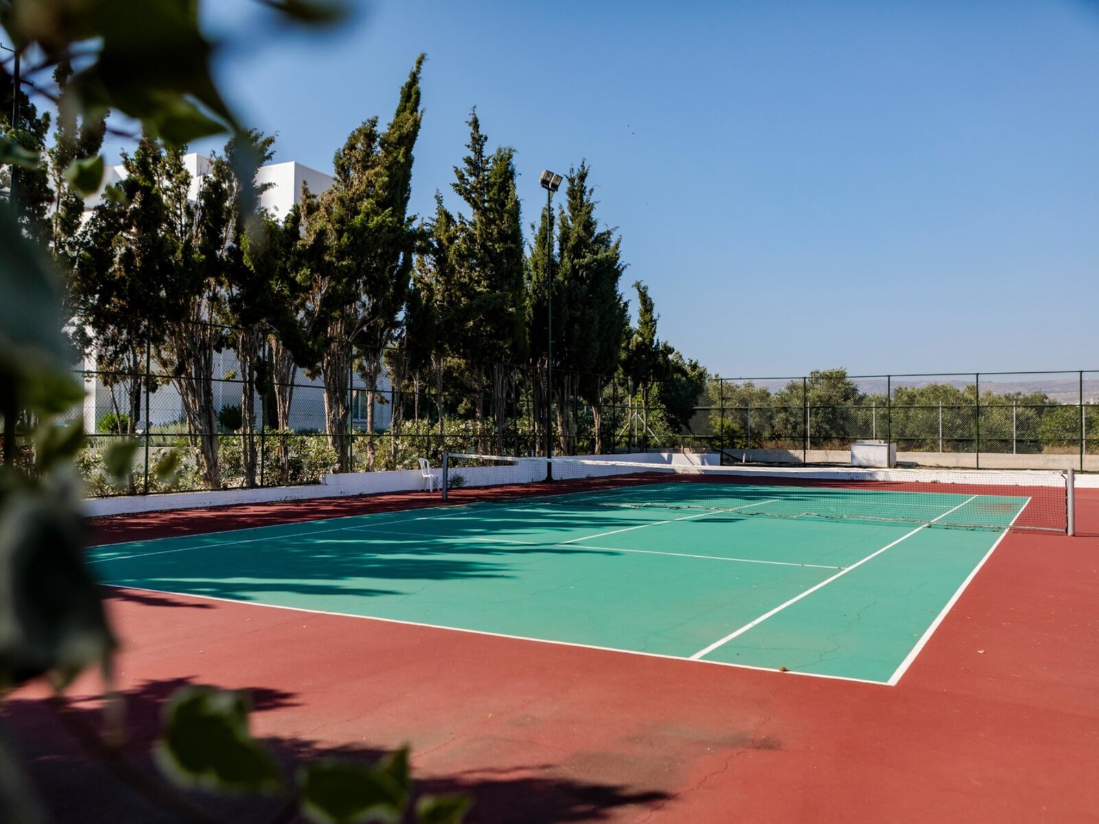 Sport