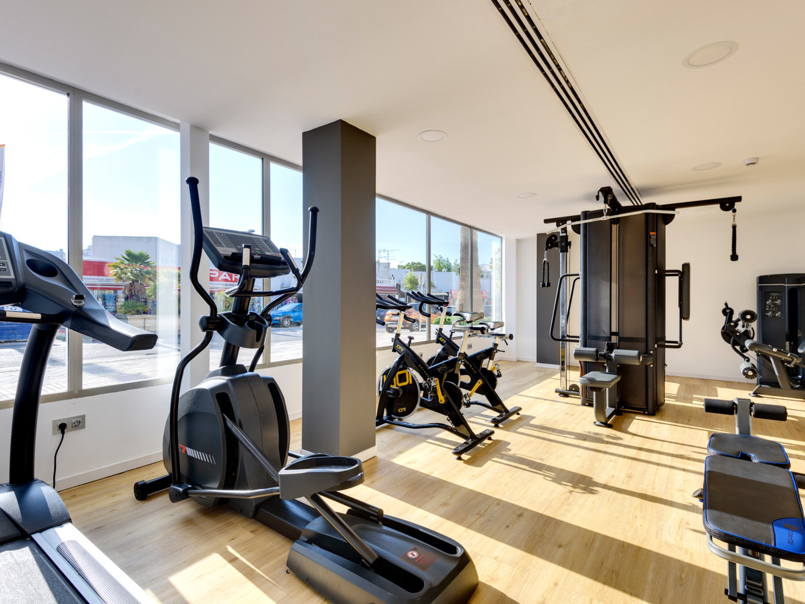 Sport