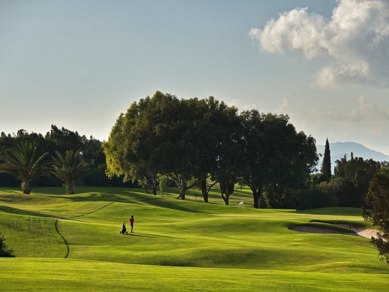 Golf
