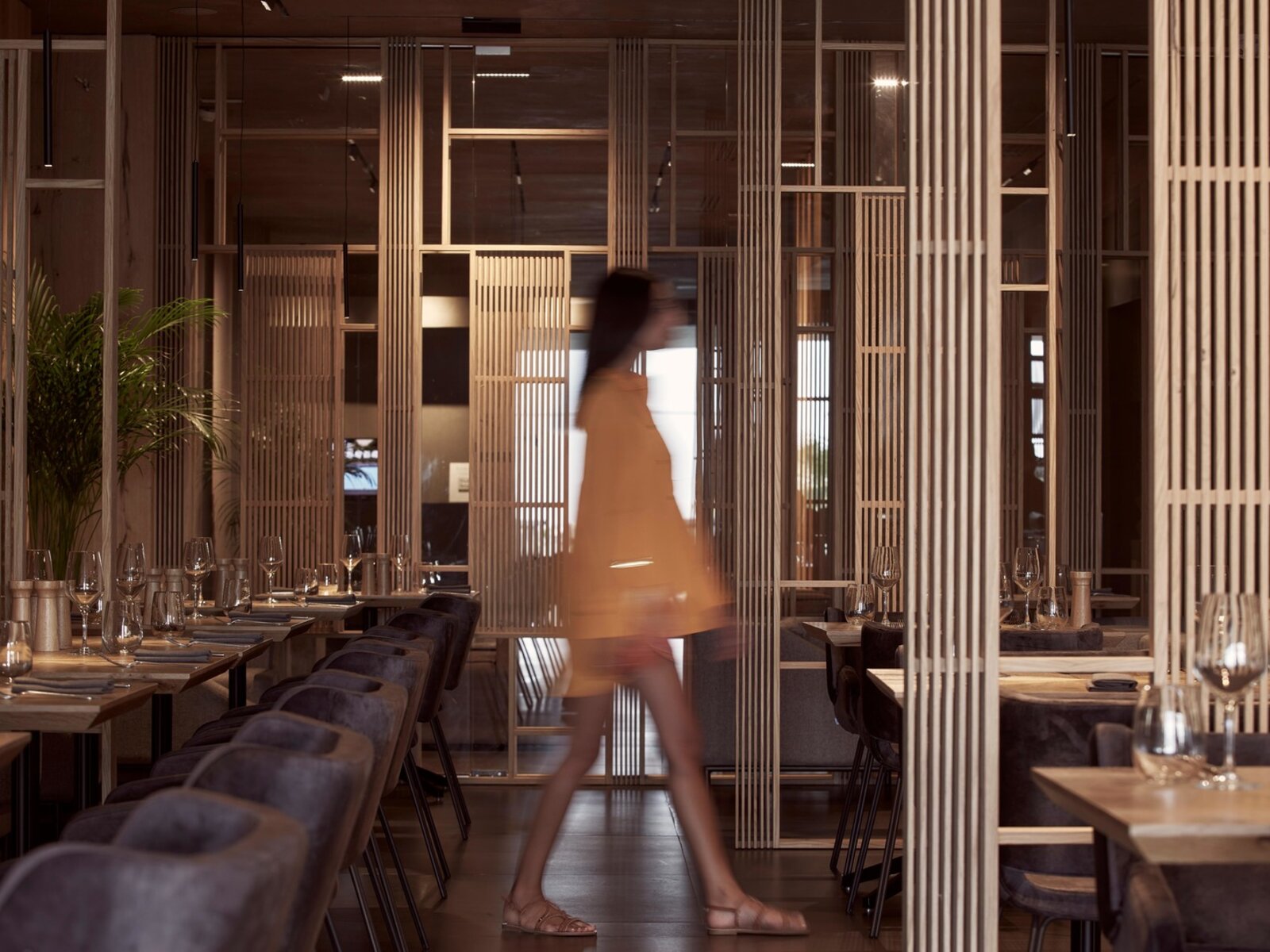 Euphoria Main Theme Restaurant