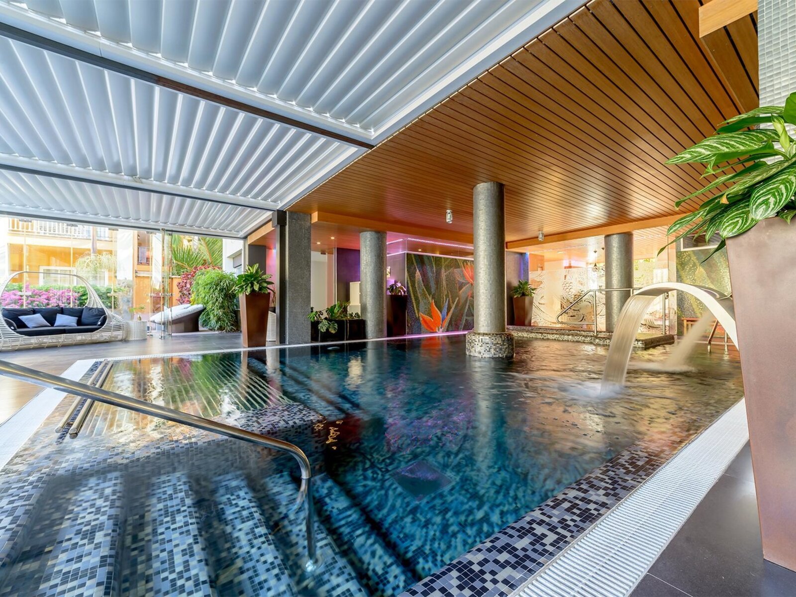 Wellness