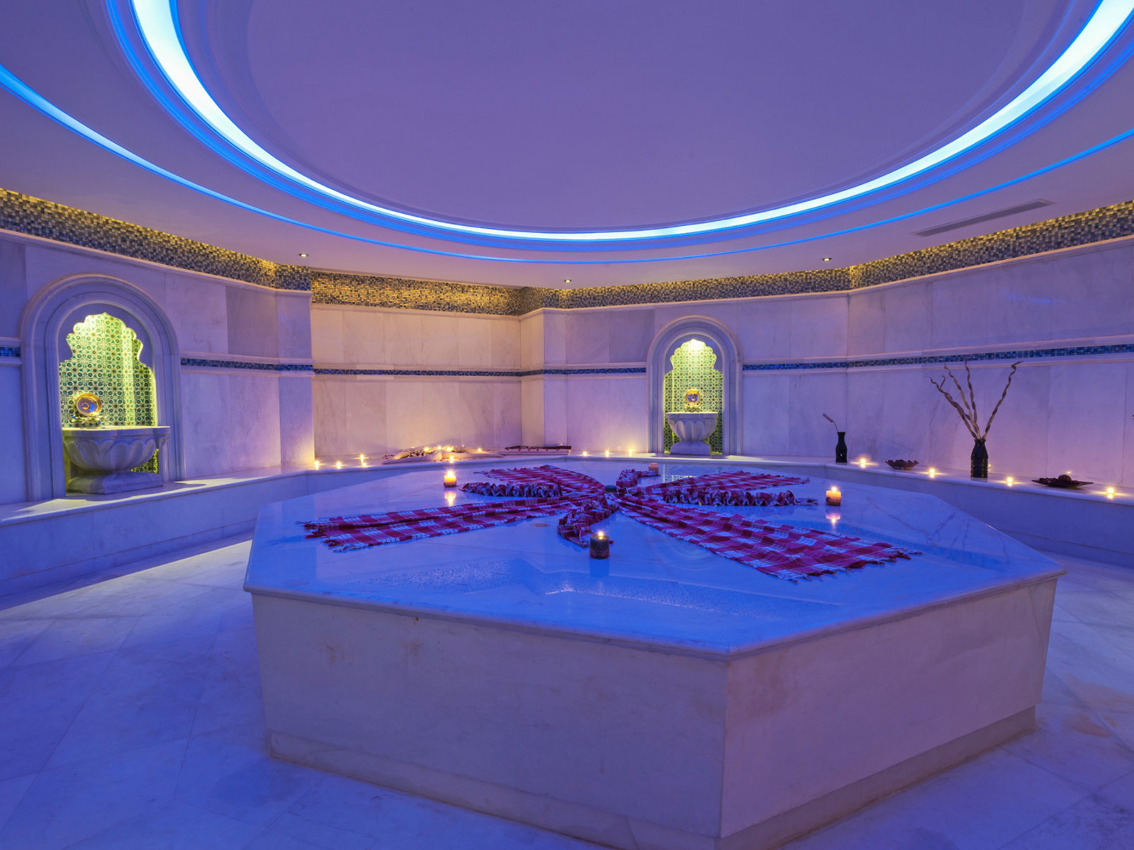 Wellness
