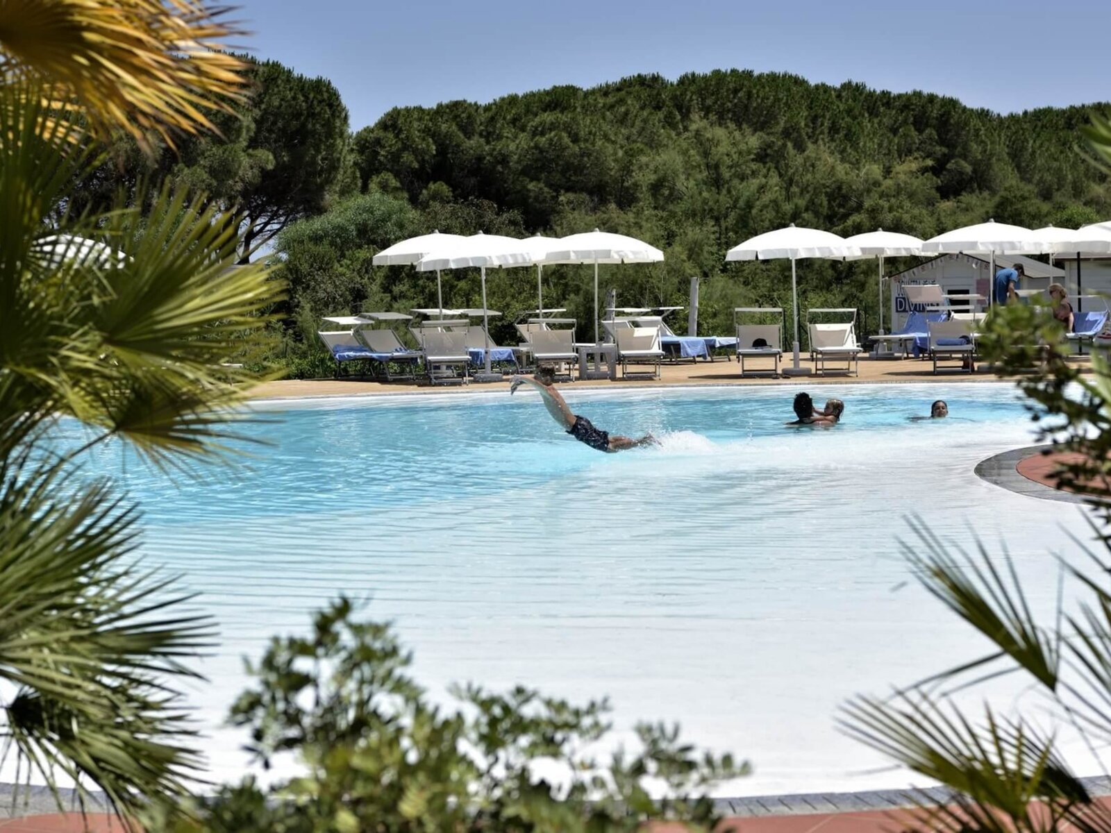 Oasi pool