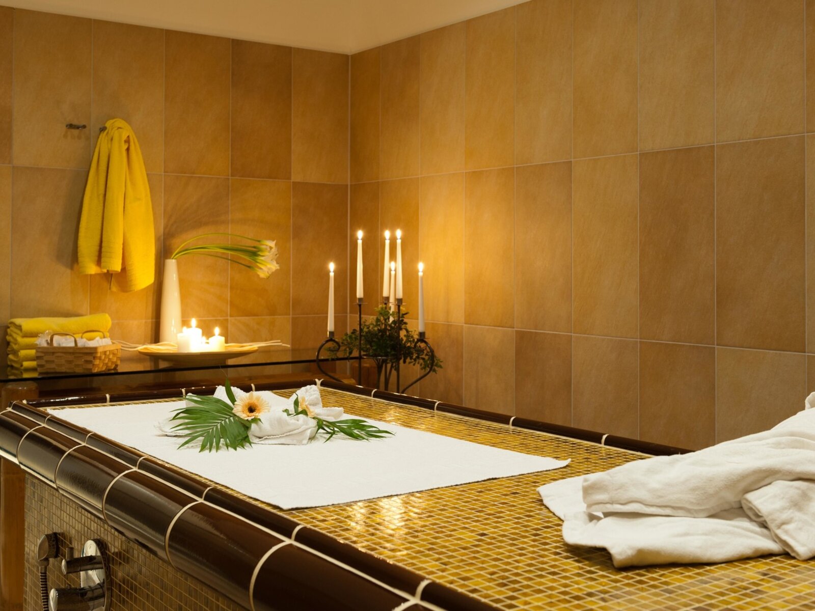 Wellness