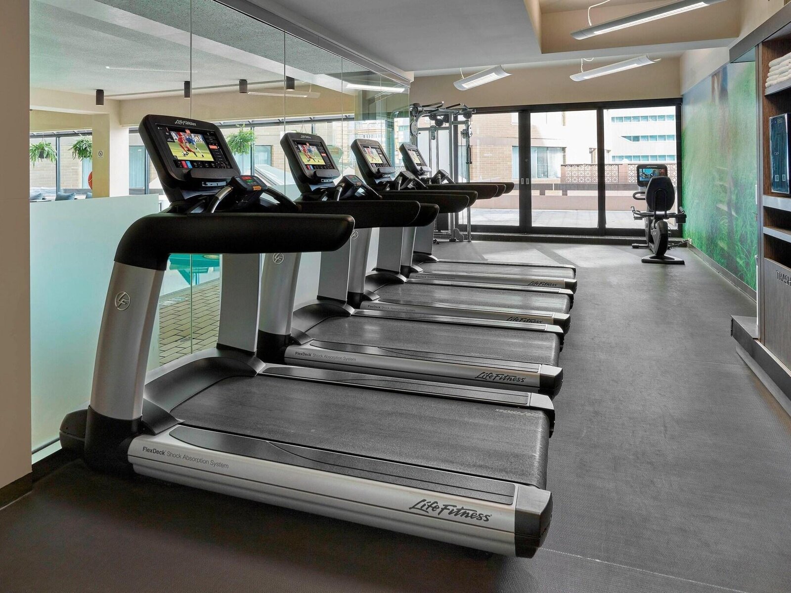 Sport
