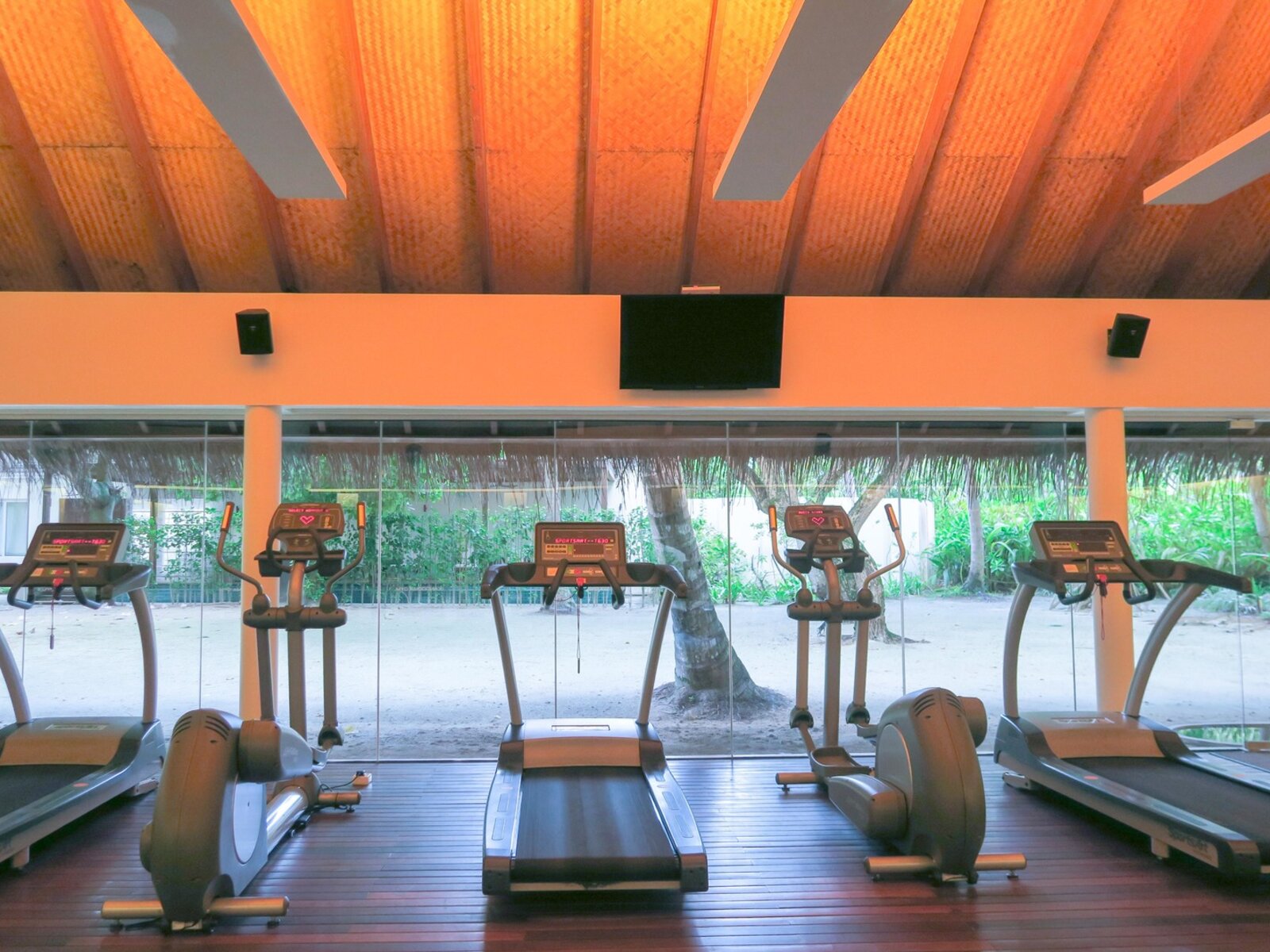 Sport