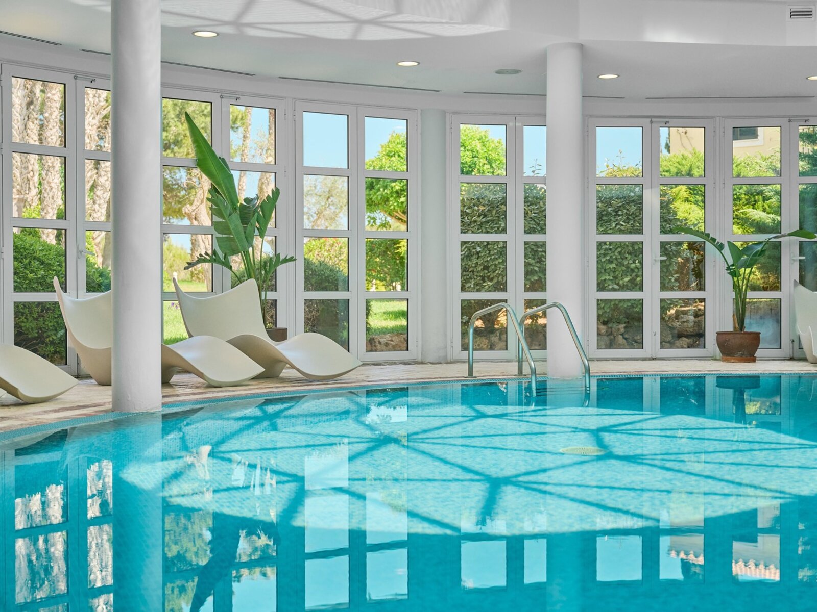Wellness