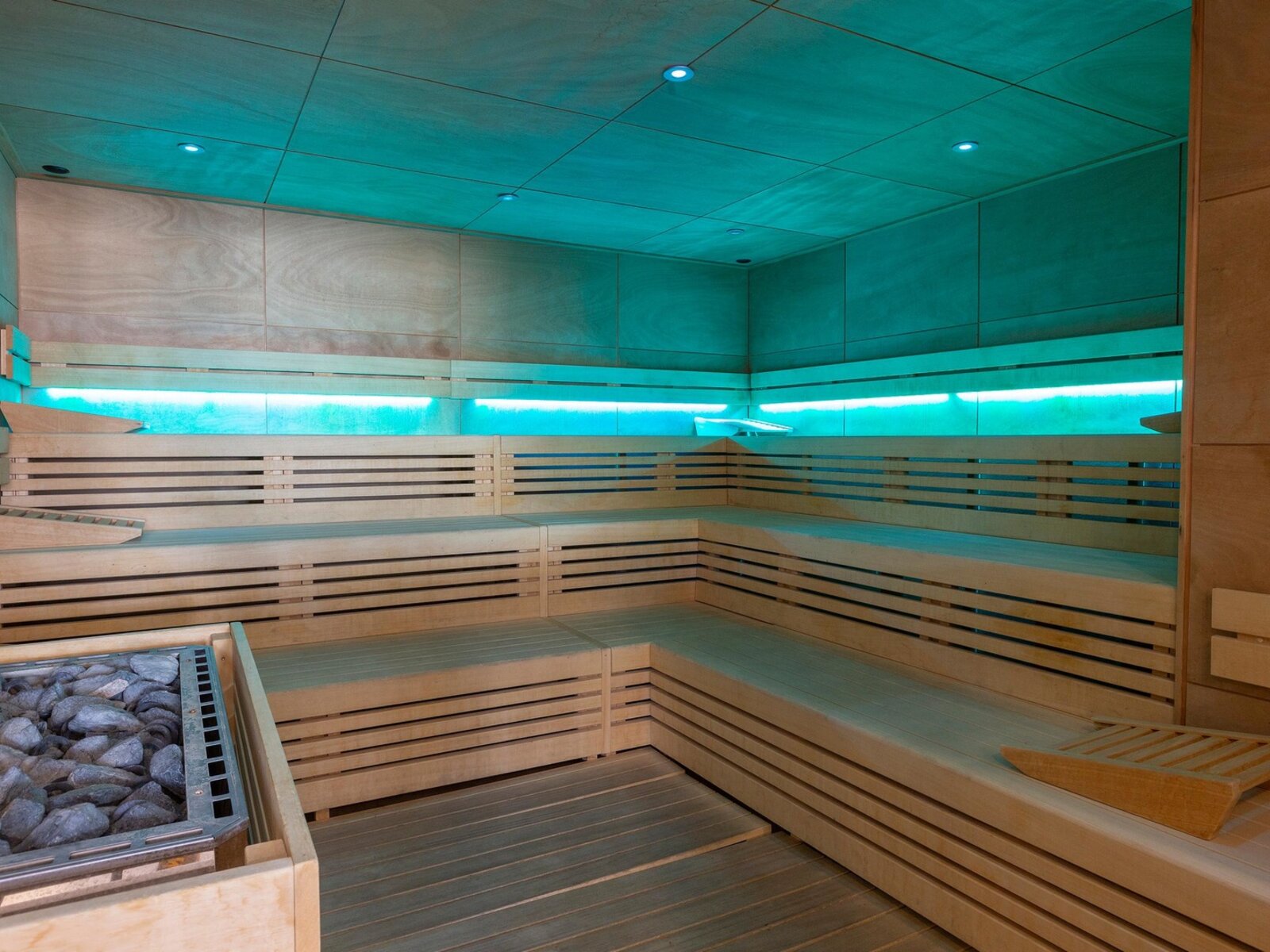 Wellness