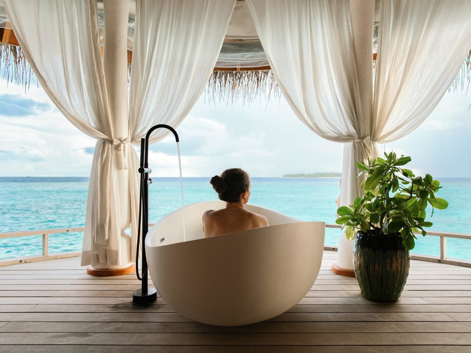 Wellness