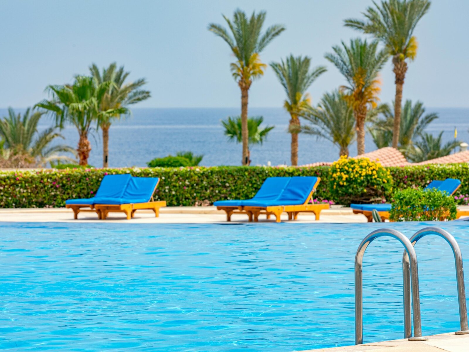 Main Swimming Pool