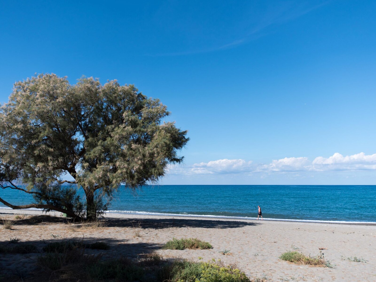 Strand