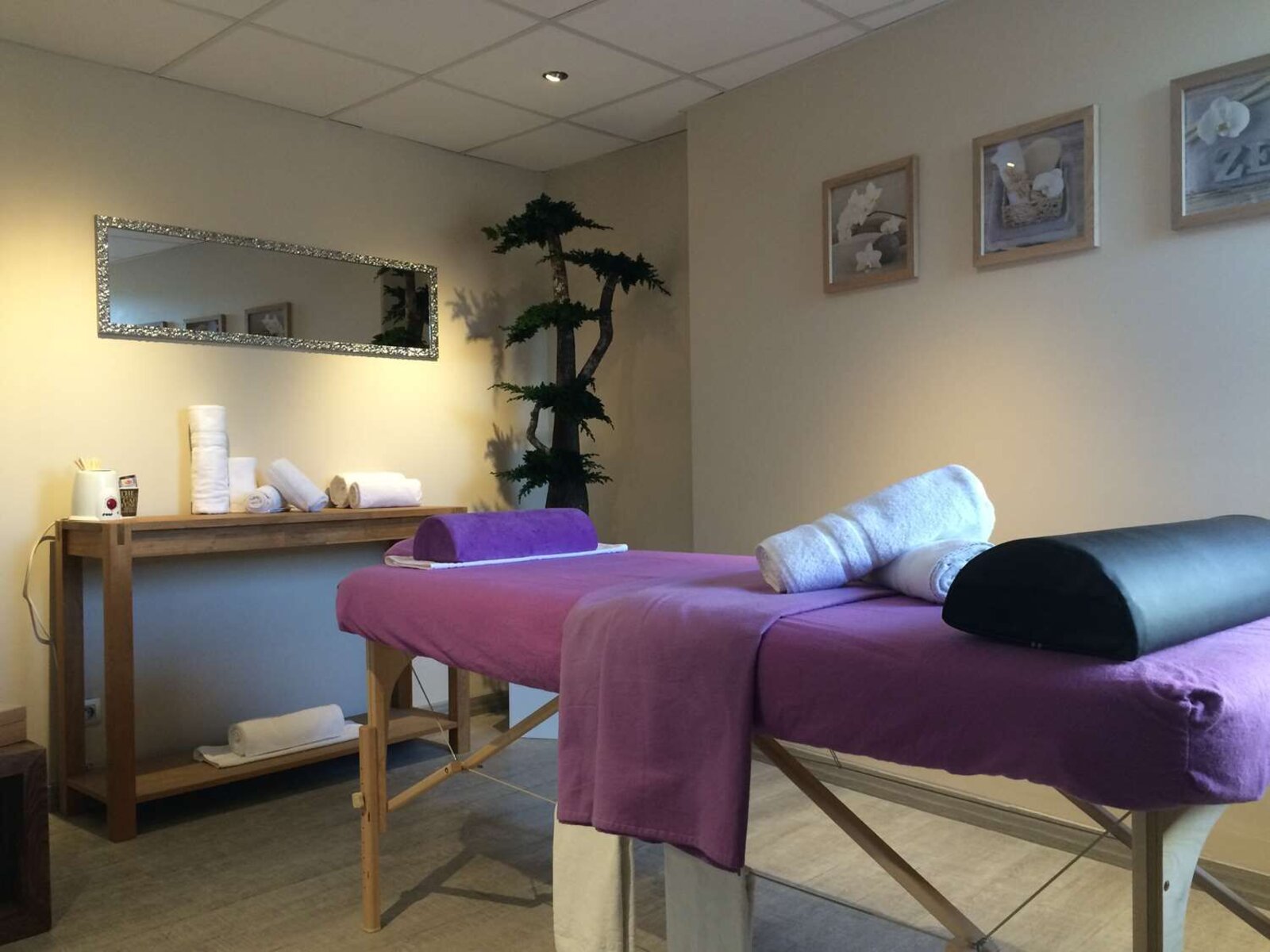 Wellness
