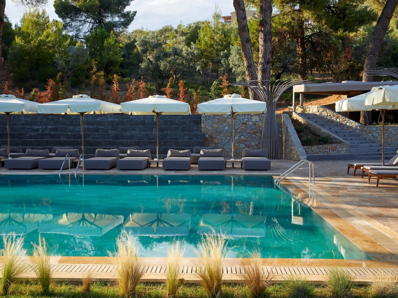 Nest Pool Bar
