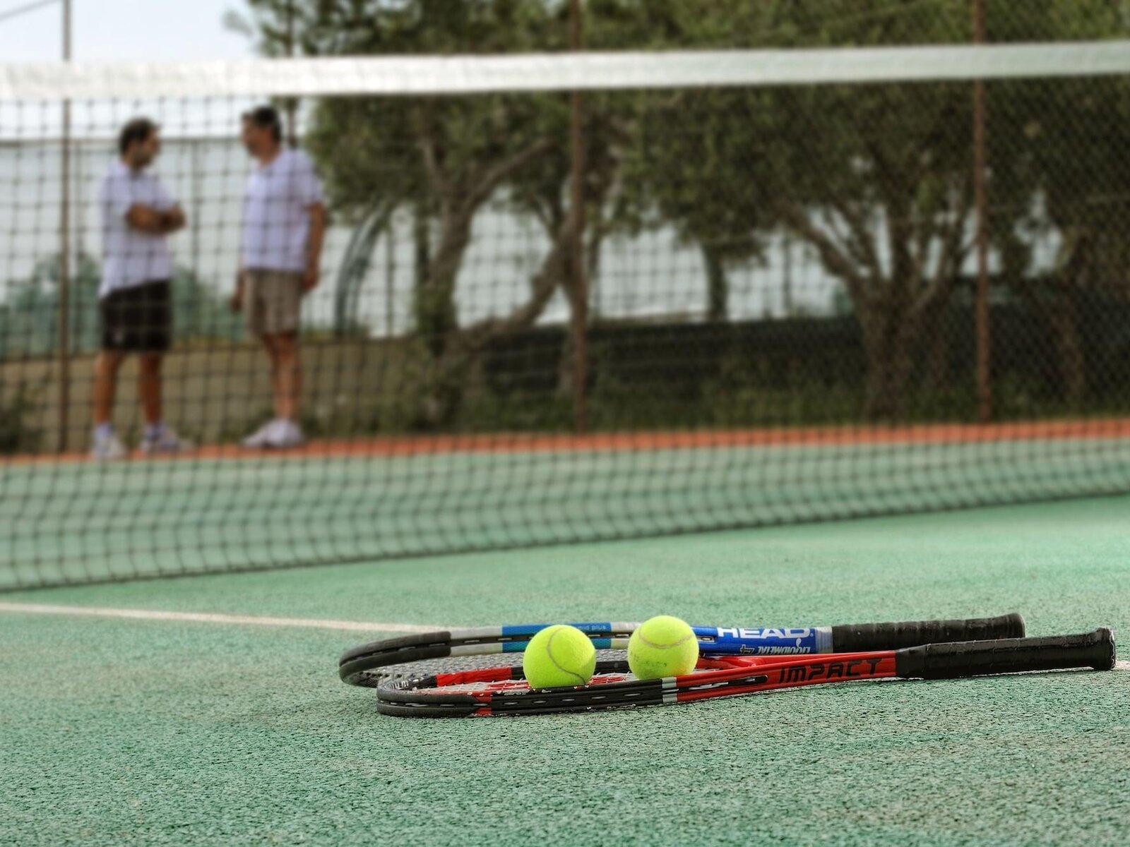 Sport