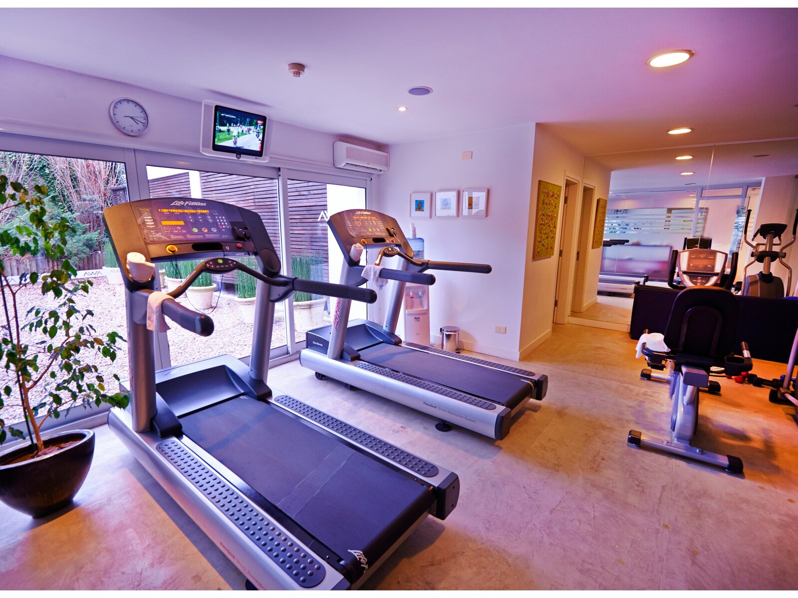 Sport