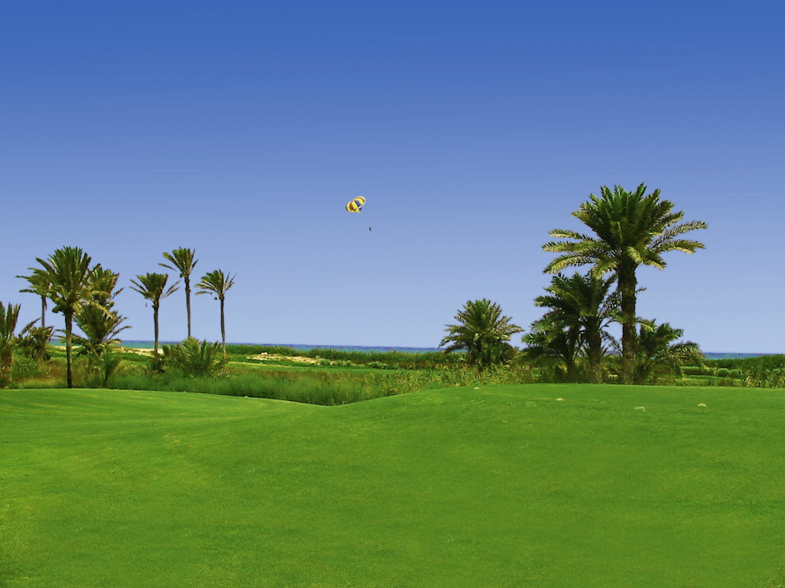 Golf