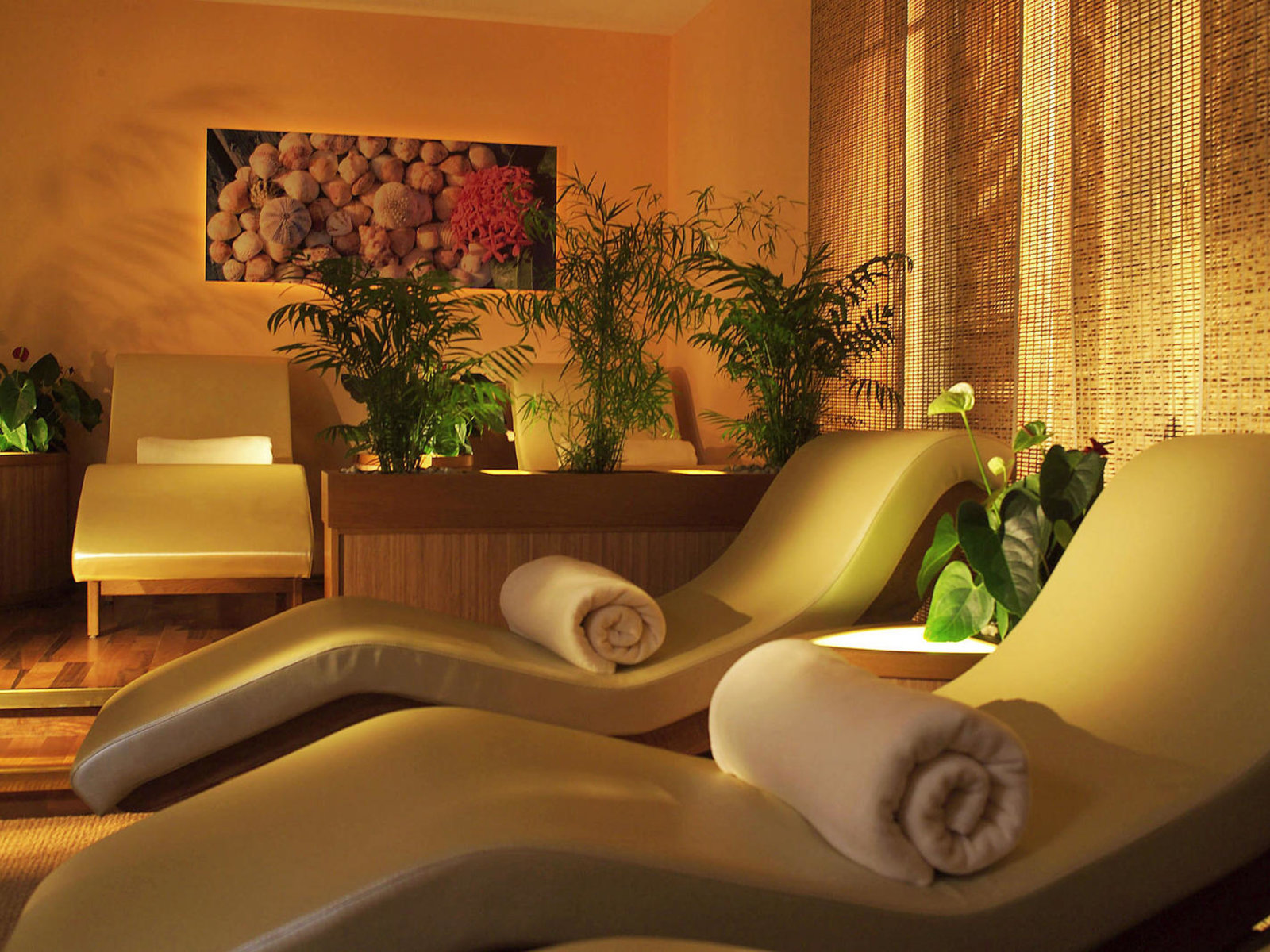 Wellness