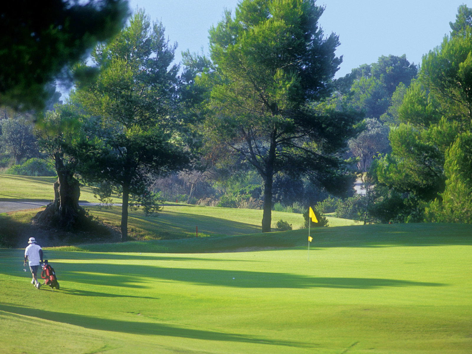 Golf