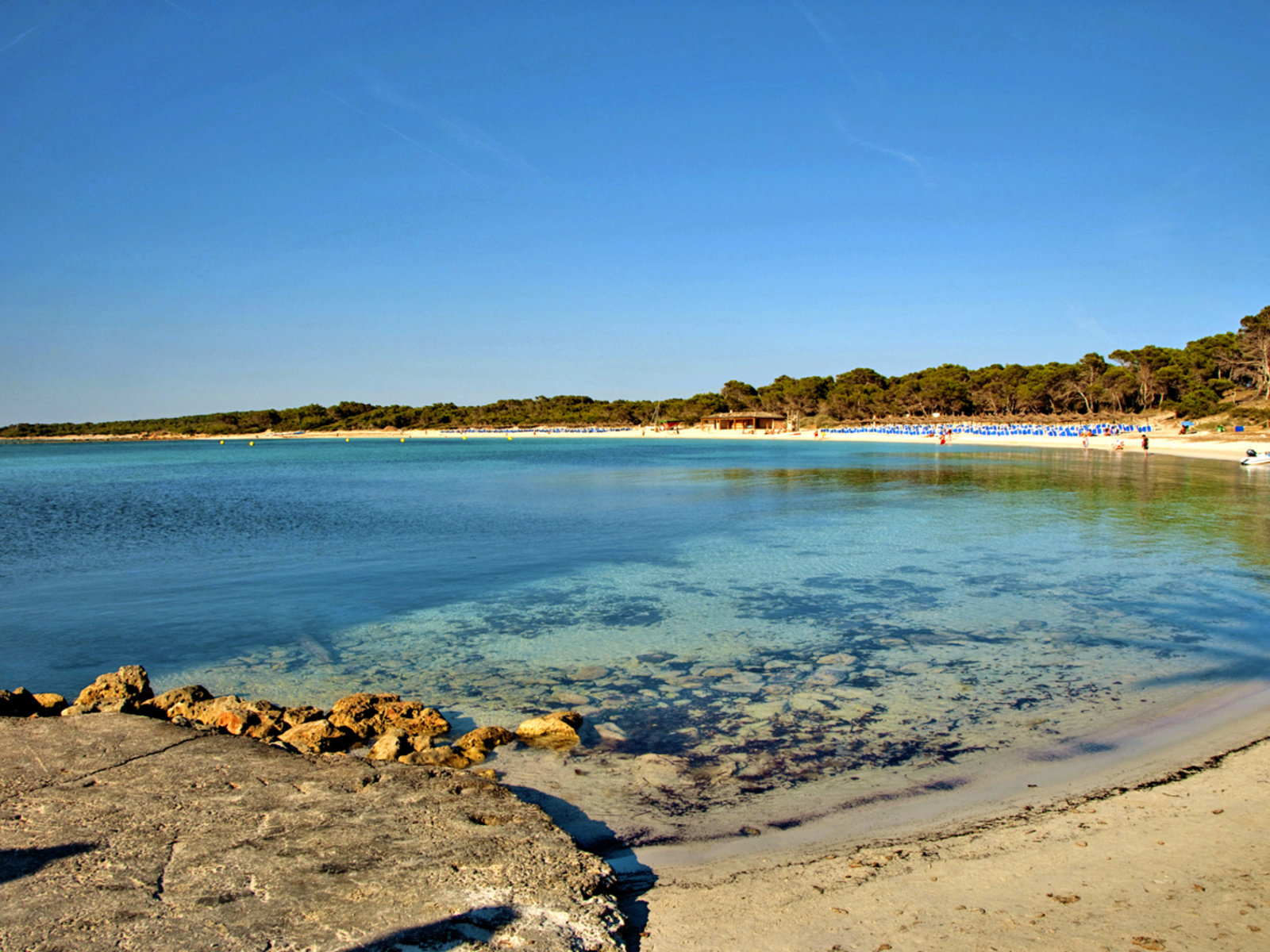 Strand