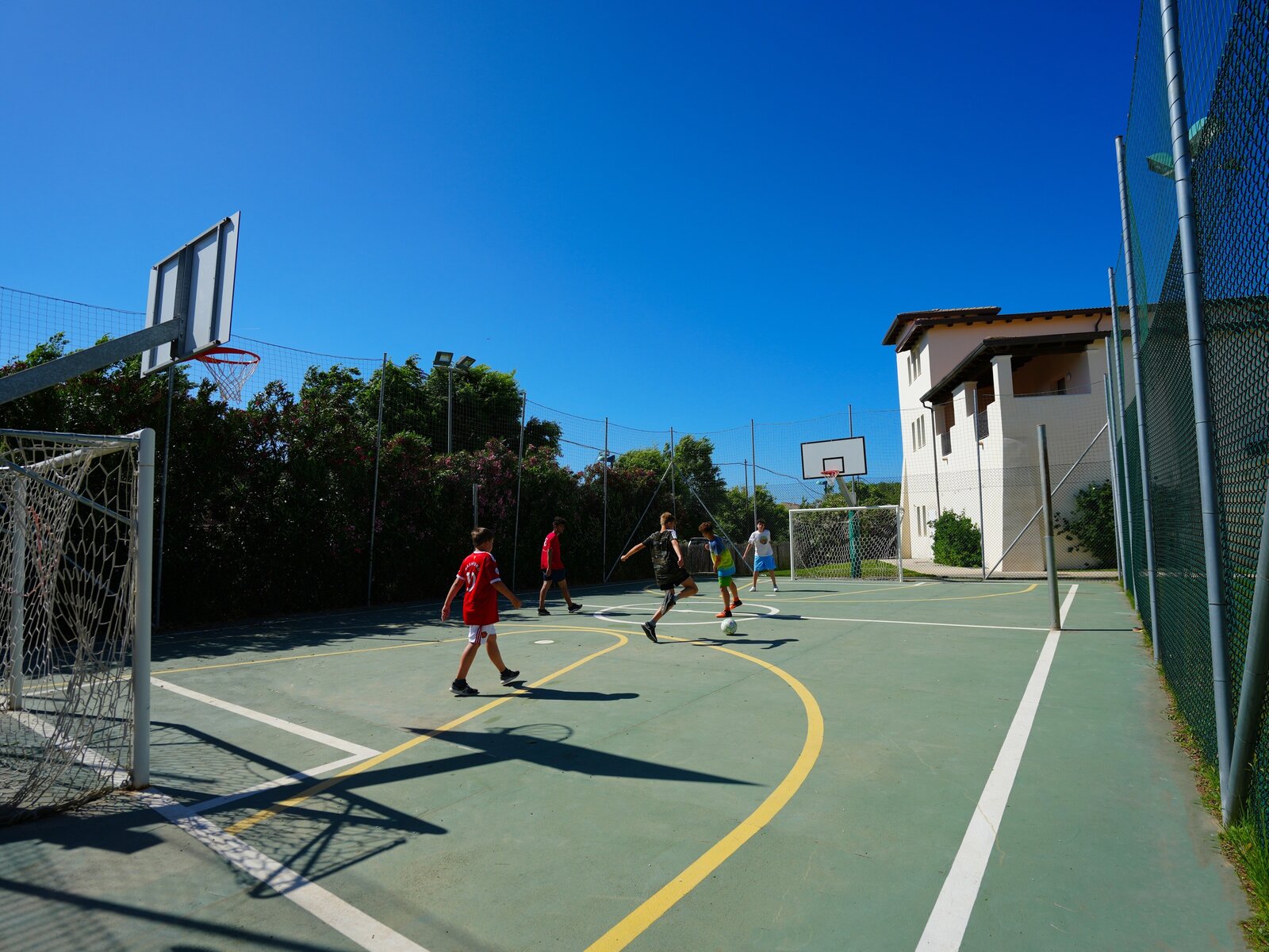 Sport