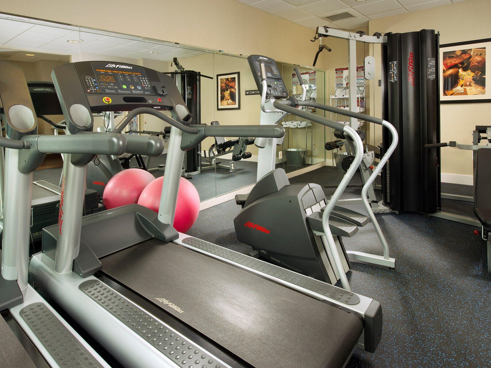 Sport