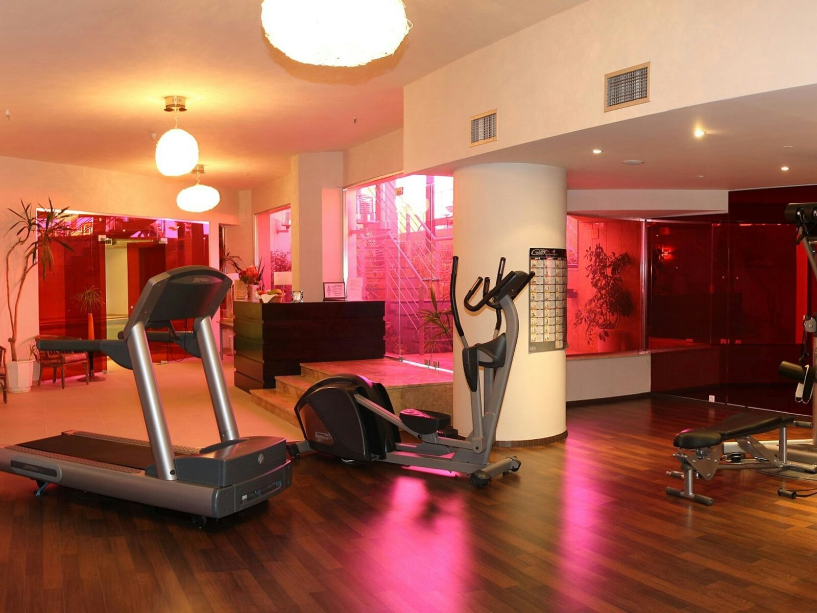 Sport