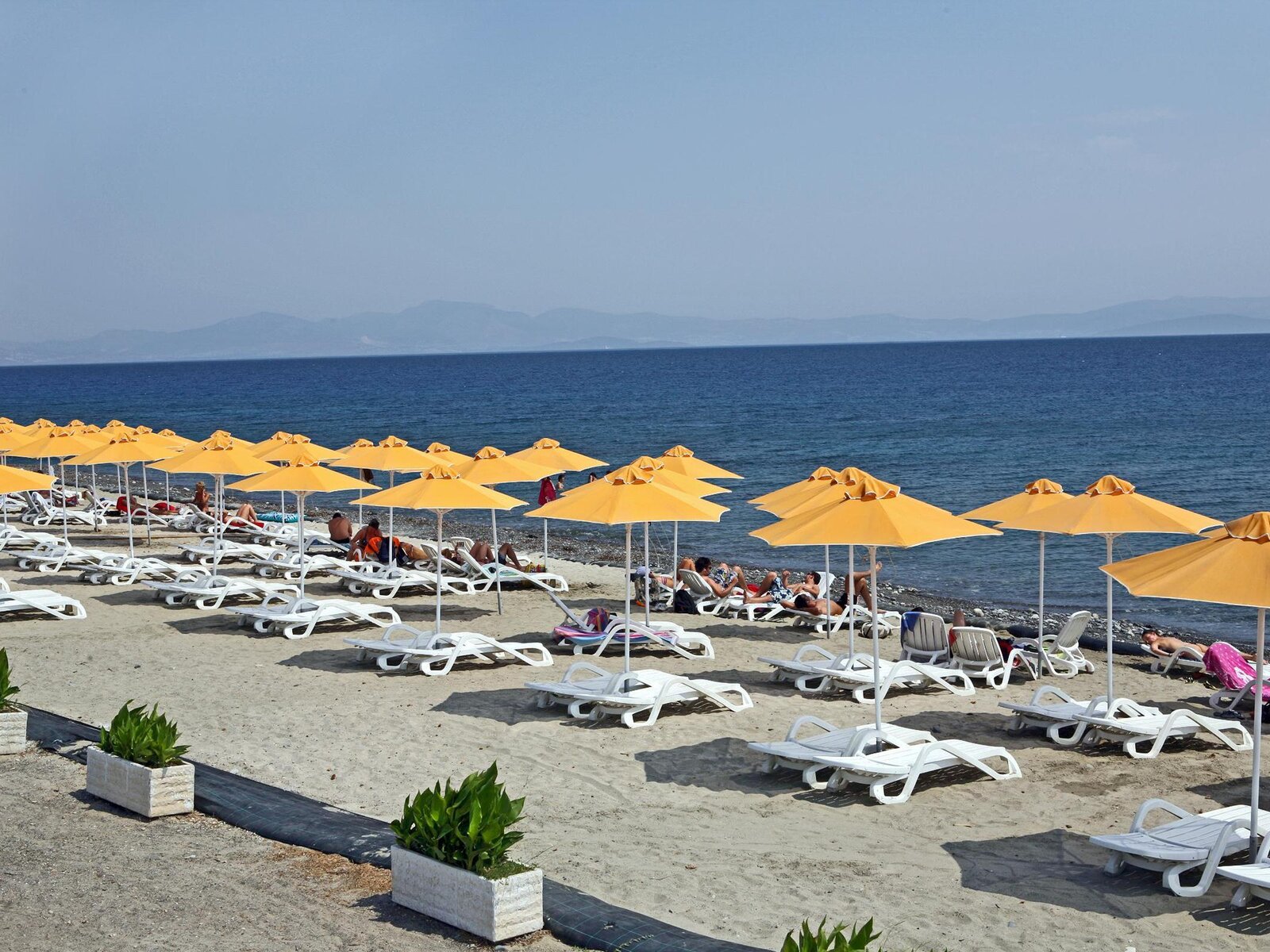 Strand