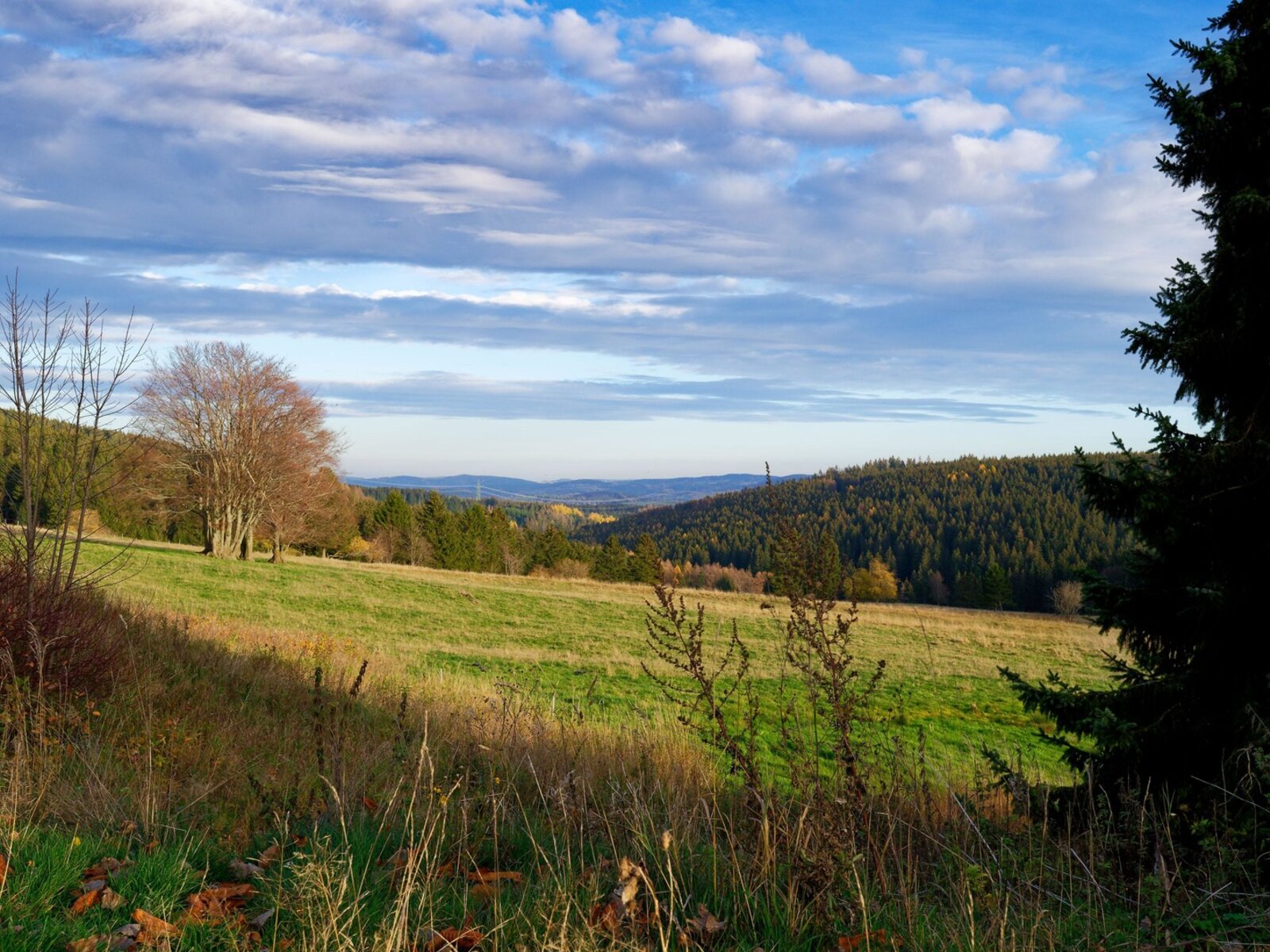 Landschaft