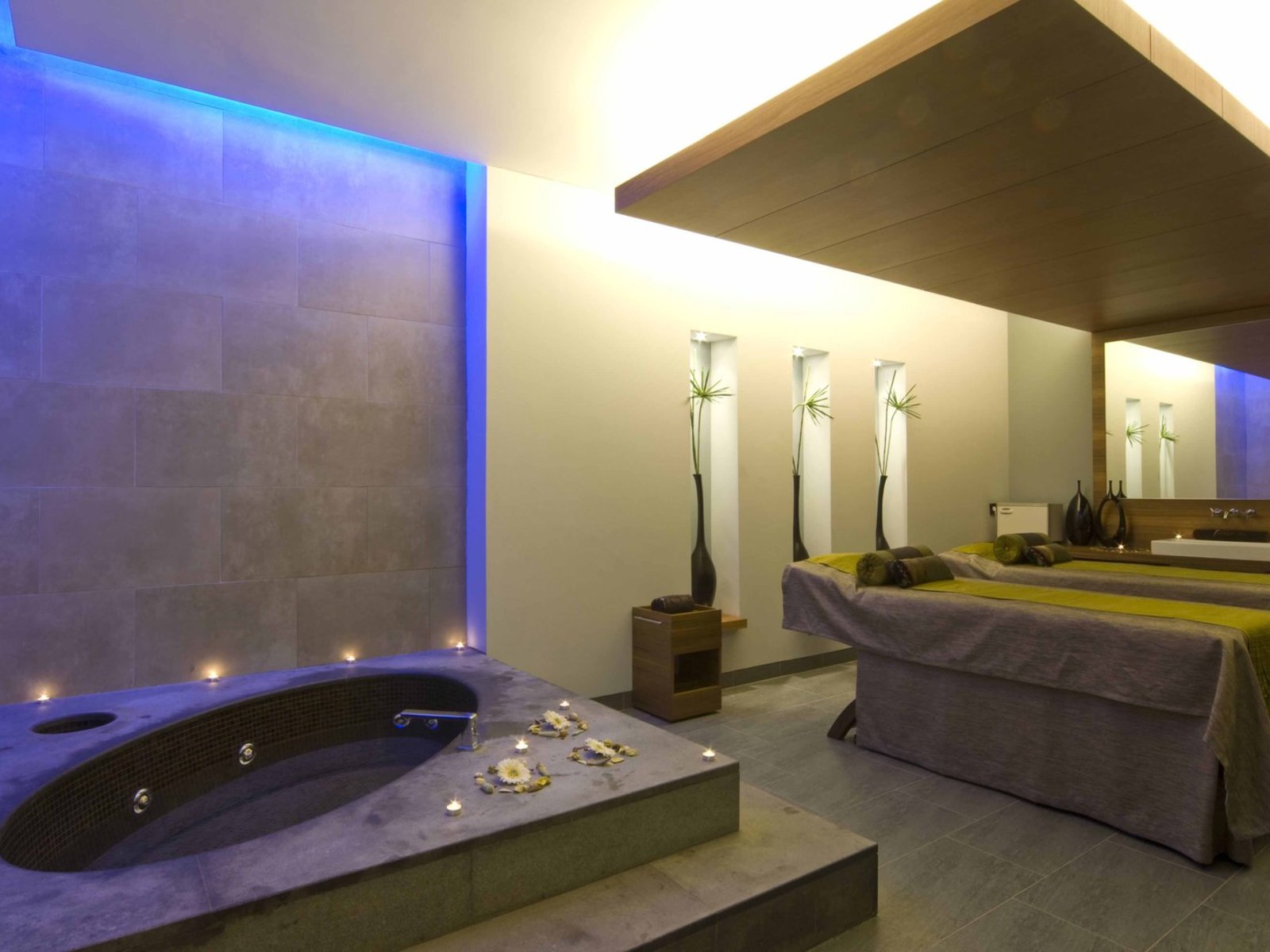 Wellness