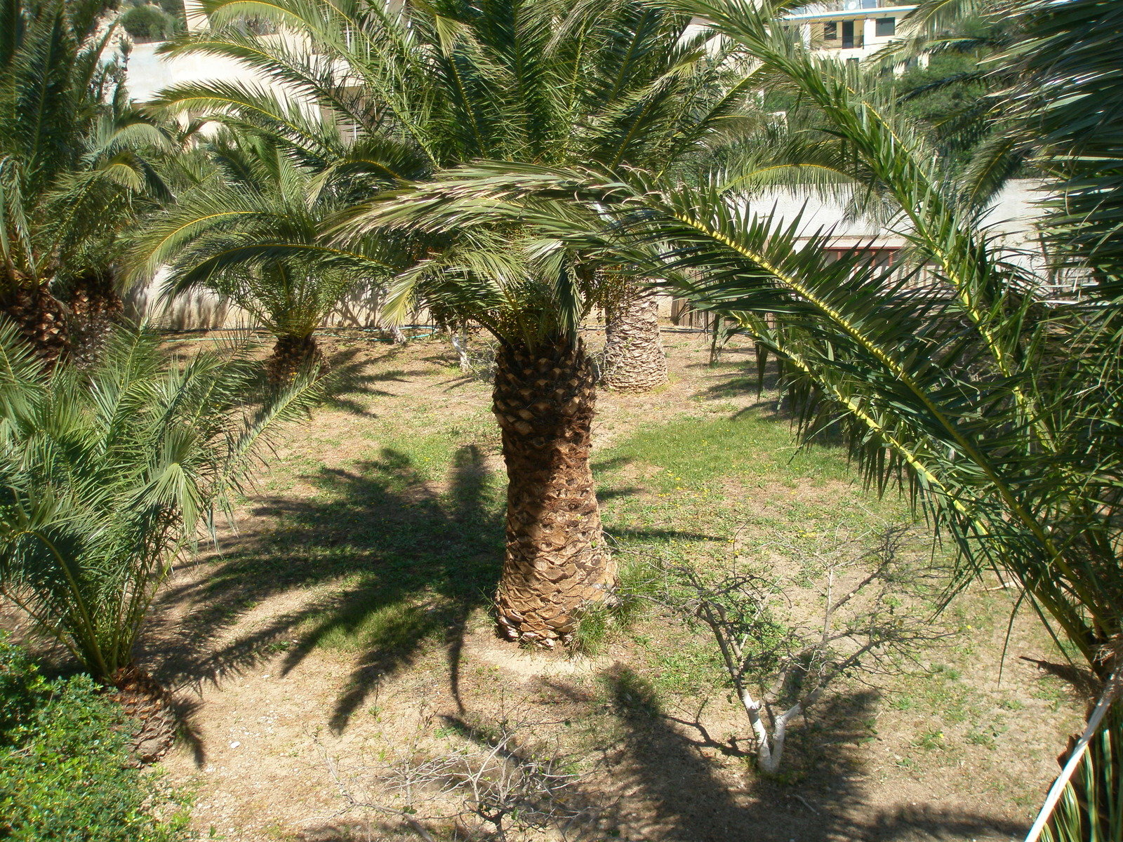 Wohnbeispiel Familienzimmer Meerblick