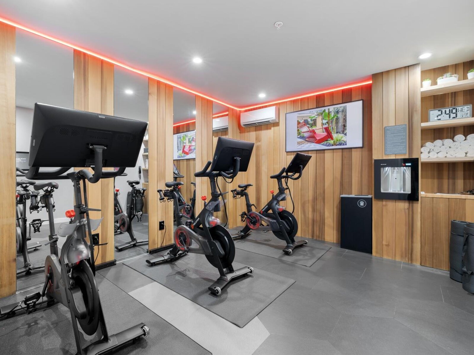 Sport
