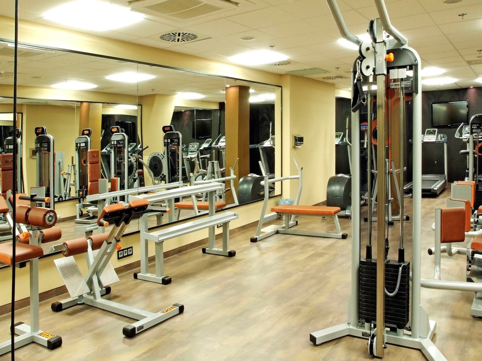 Sport