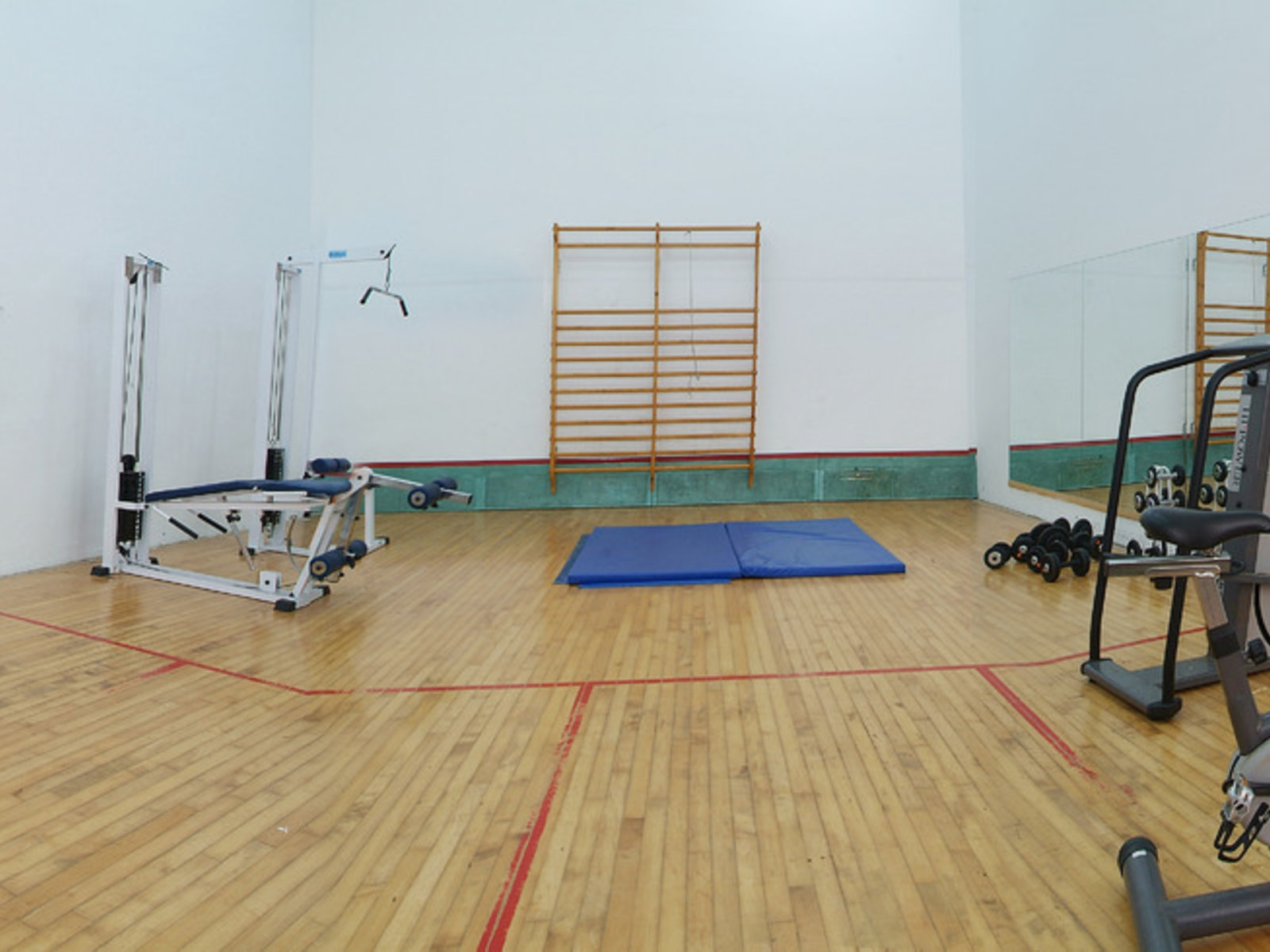 Sport