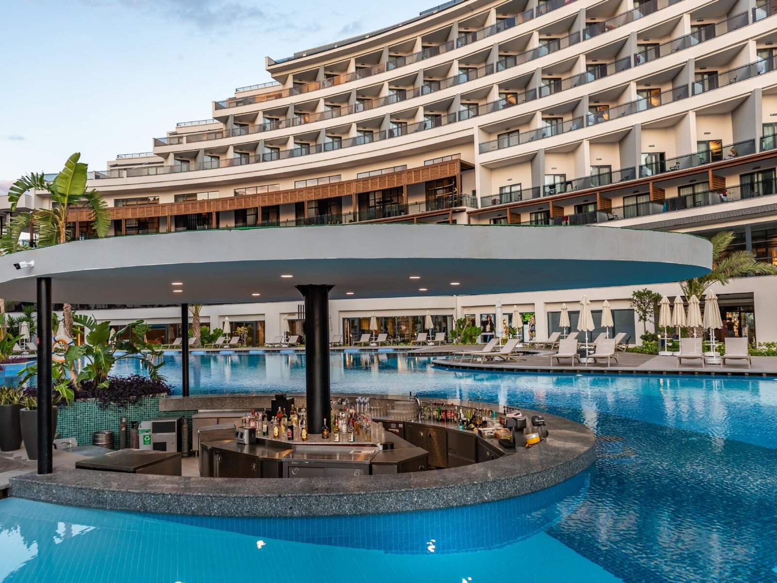 Swim-up Bar