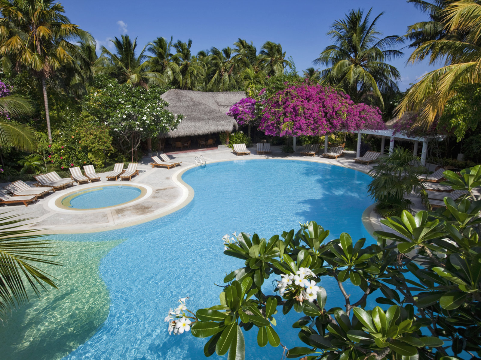 Pool Bar