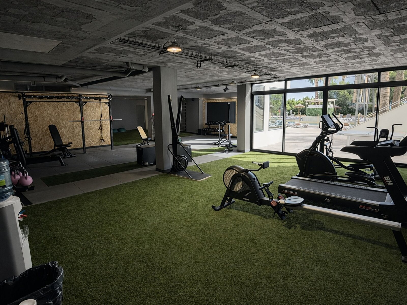 Sport