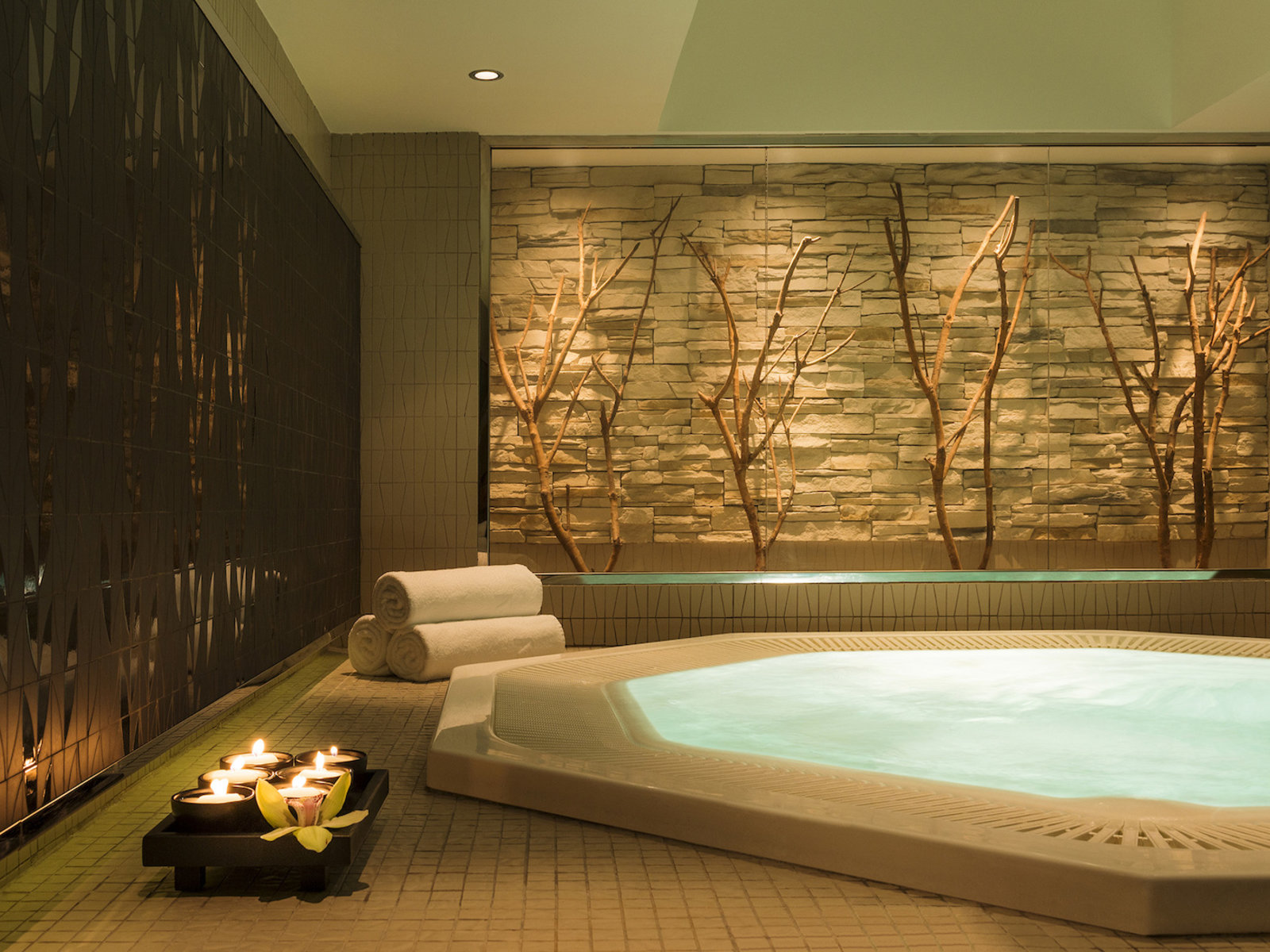 Wellness